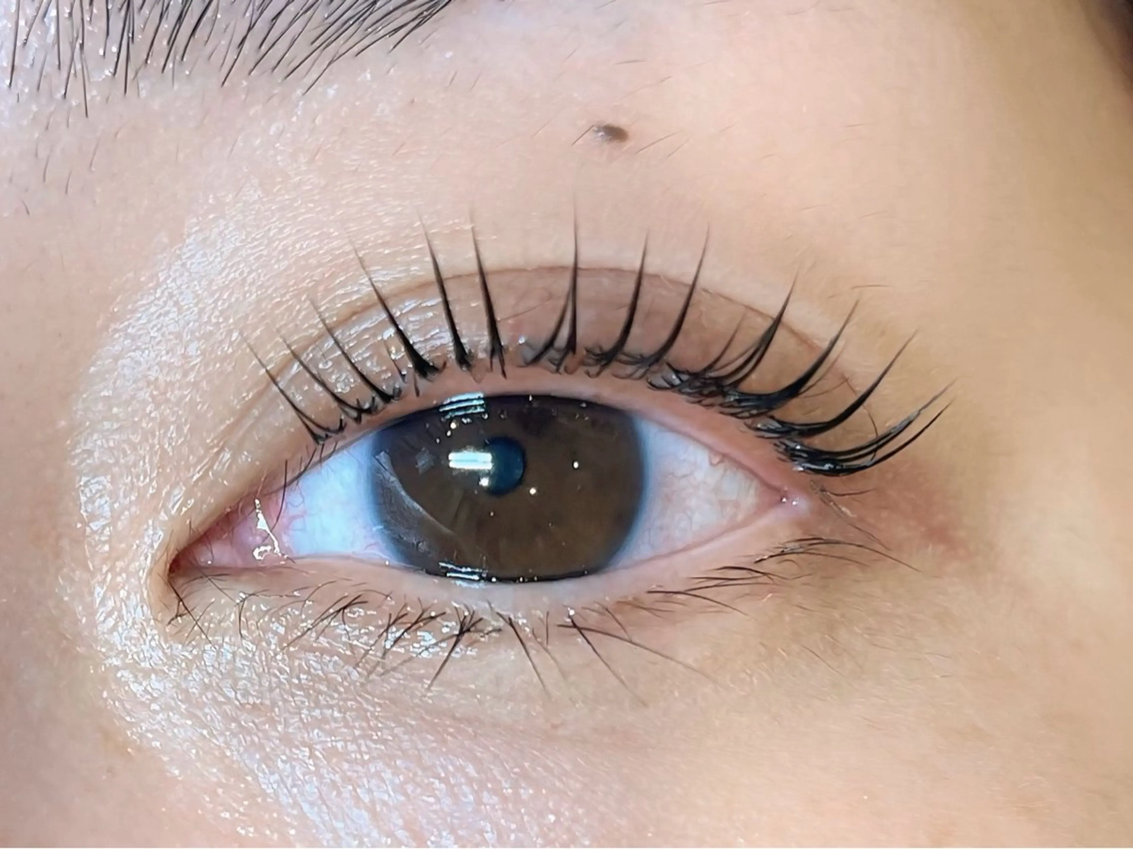 マツエク・マツパ fromCOCOLO 山本 花乃のマツエク・マツパデザイン