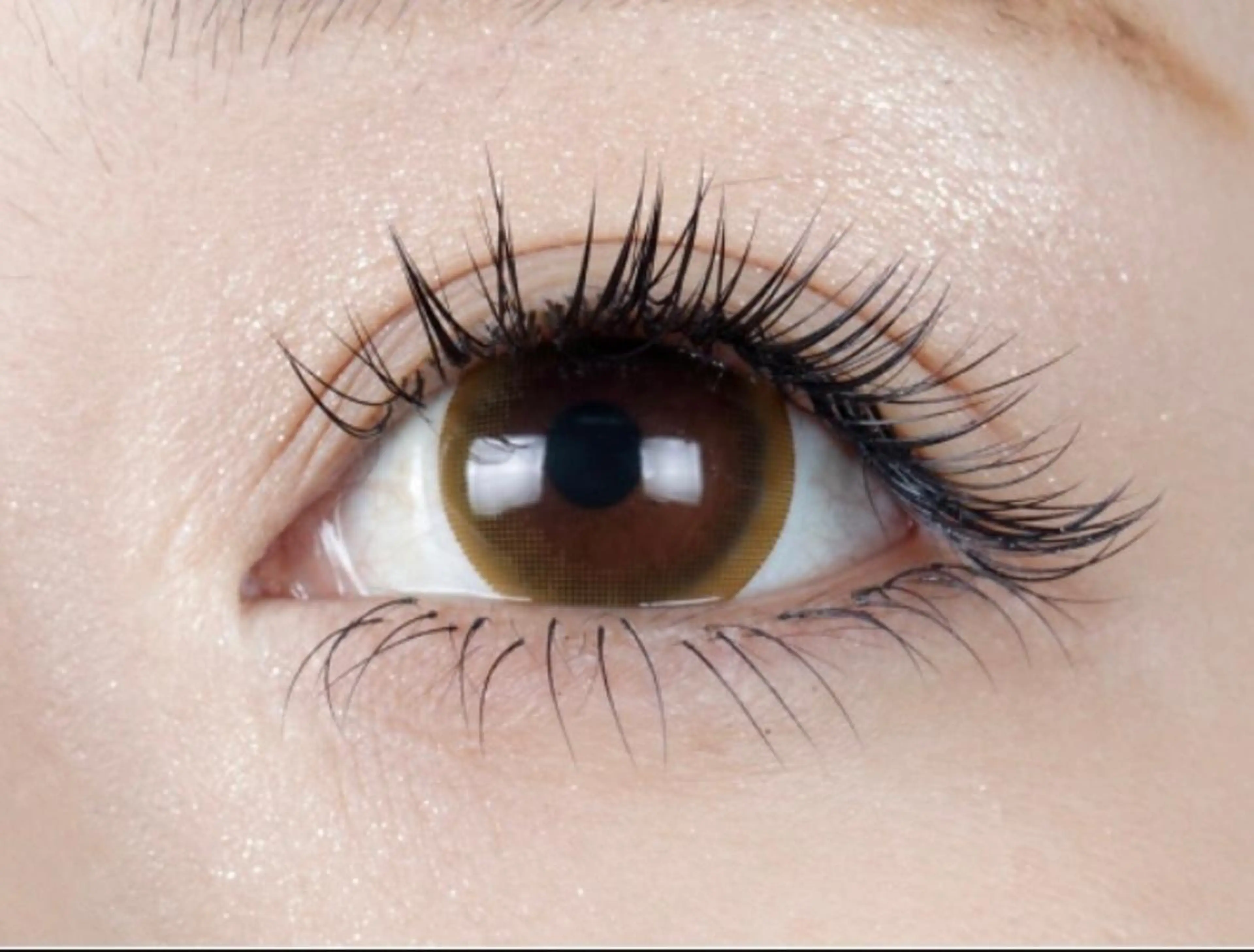 マツエク・マツパ 目尻長め 岡本 知紗の眉毛・アイブロウイメージ