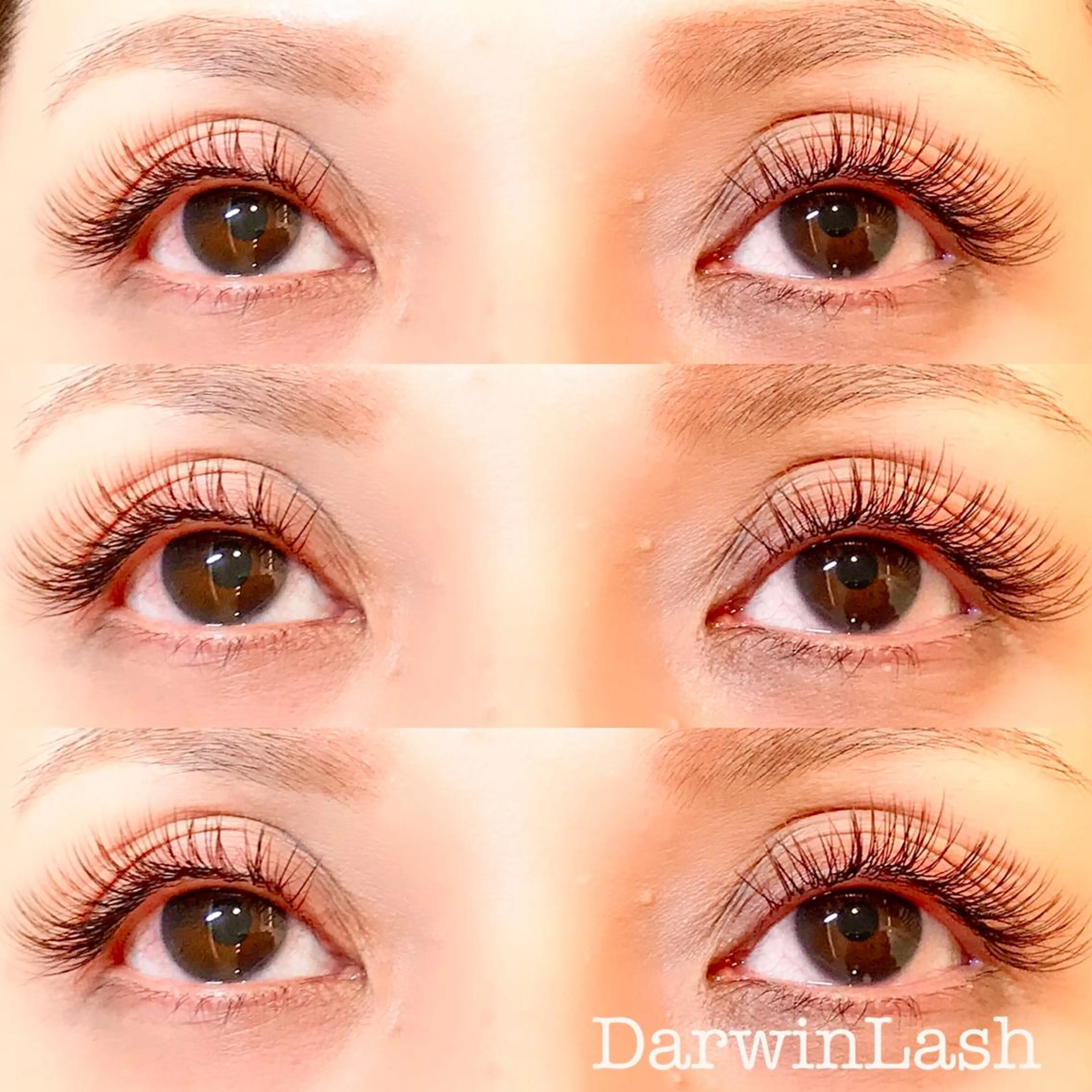 マツエク・マツパ まつげと眉毛のお店Sakura Lash【サクララッシュ】所属・【ダメージケア特化】 🌸 サクララッシュの眉毛・アイブロウイメージ