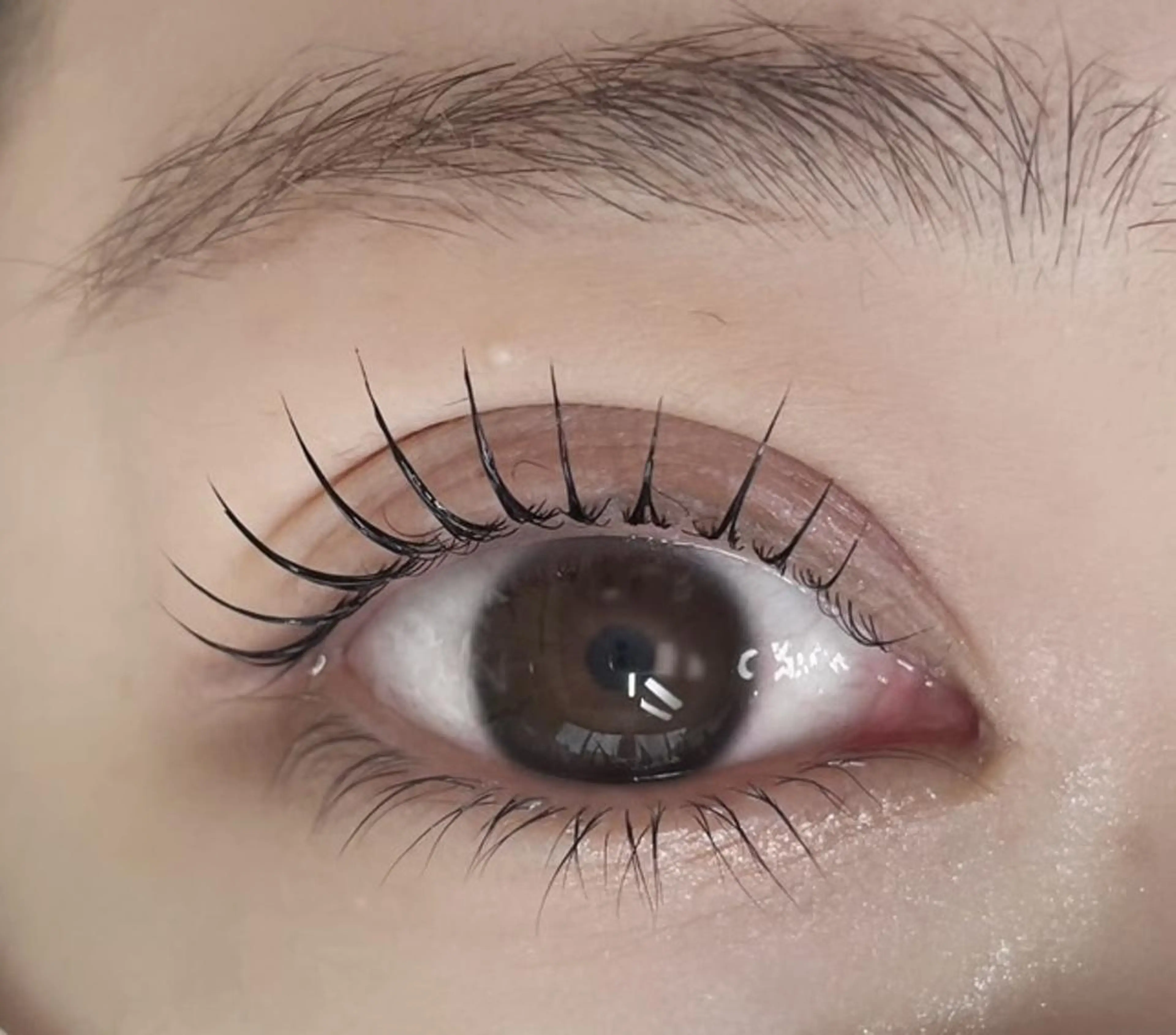 【韓国発🇰🇷束感パーマ✧︎*。】NUNUラッシュリフト🪽💞ブラックティント付き🖤の写真