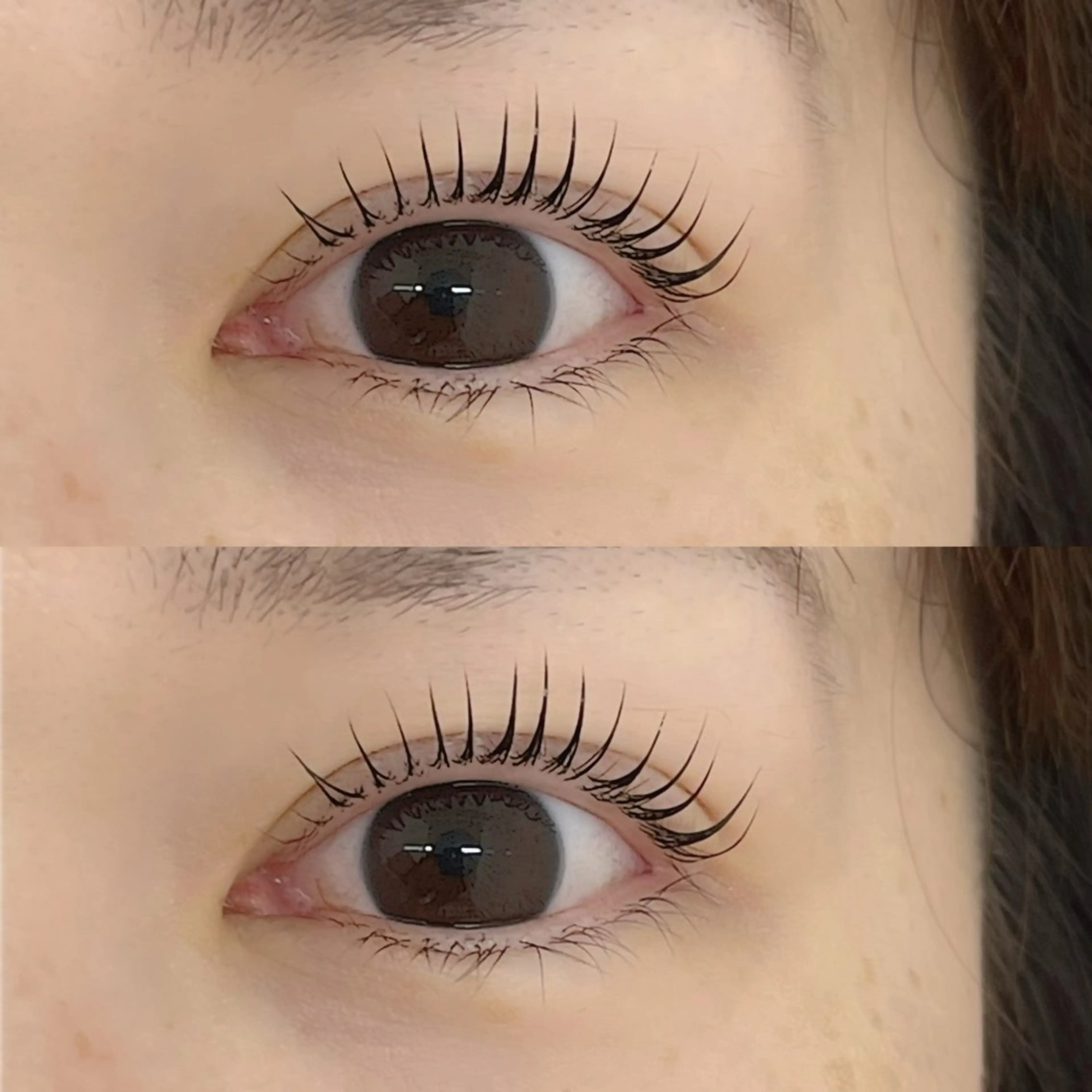 『ご新規様限定』パリジェンヌラッシュリフト🗼✨（コーティング+TR付！）の写真