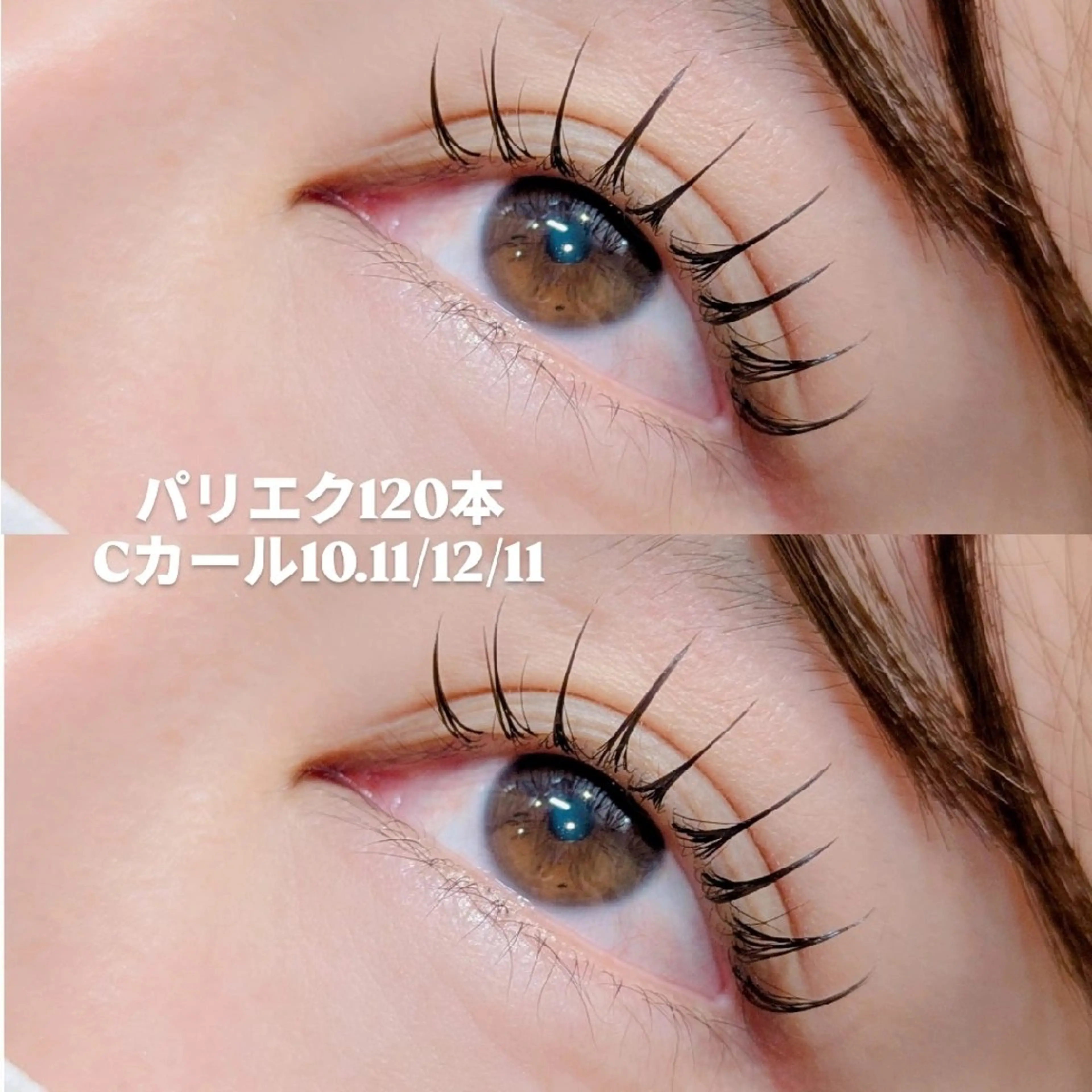 マツエク・マツパ マツエク Shucre太田川 🧸のマツエク・マツパデザイン