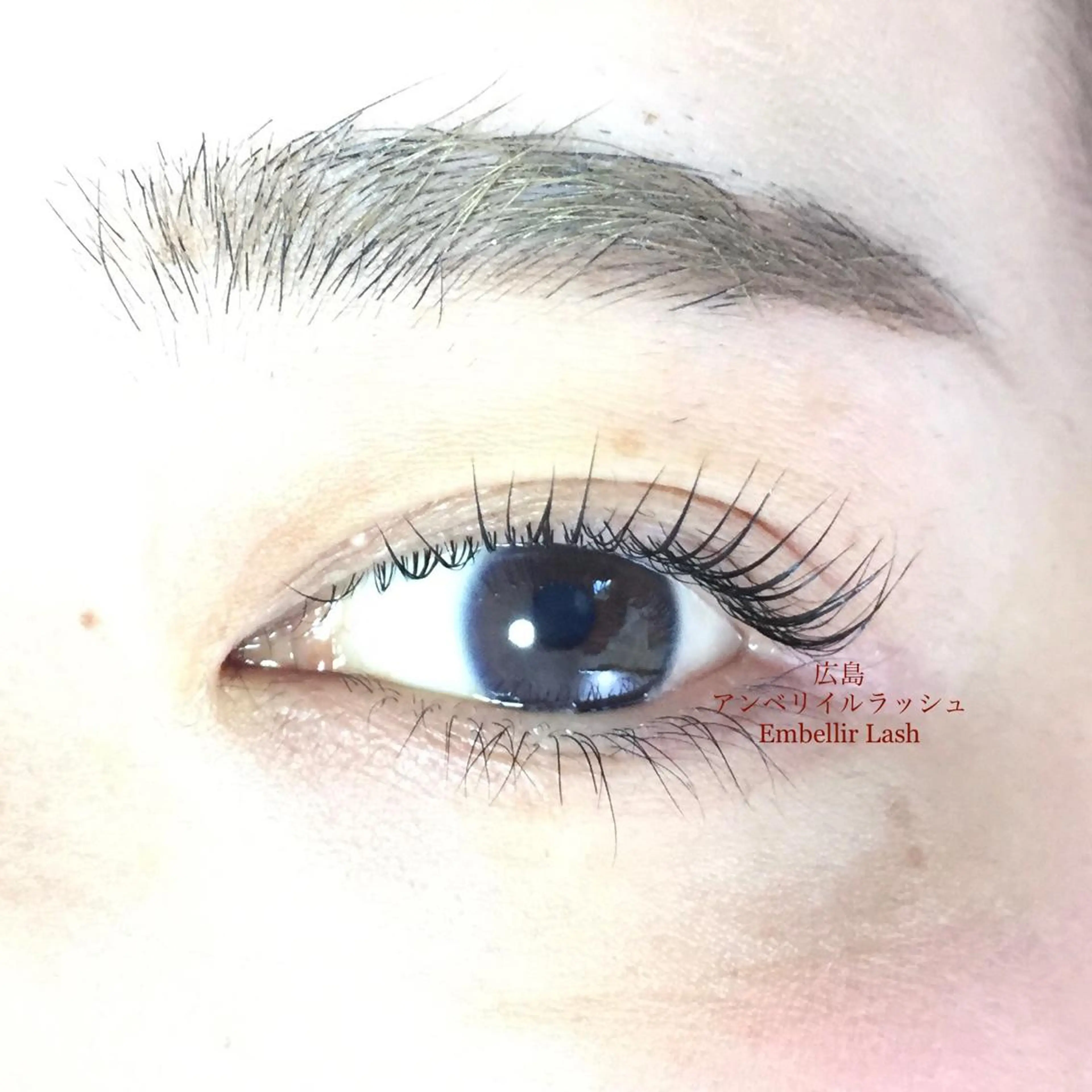 マツエク・マツパ パリジェンヌラッシュリフト まつげパーマ 下まつげエクステ 一重×まつ毛パーマ アンベリイルラッシュ所属・まつエク・パーマ アンベリイルラッシュのマツエク・マツパデザイン