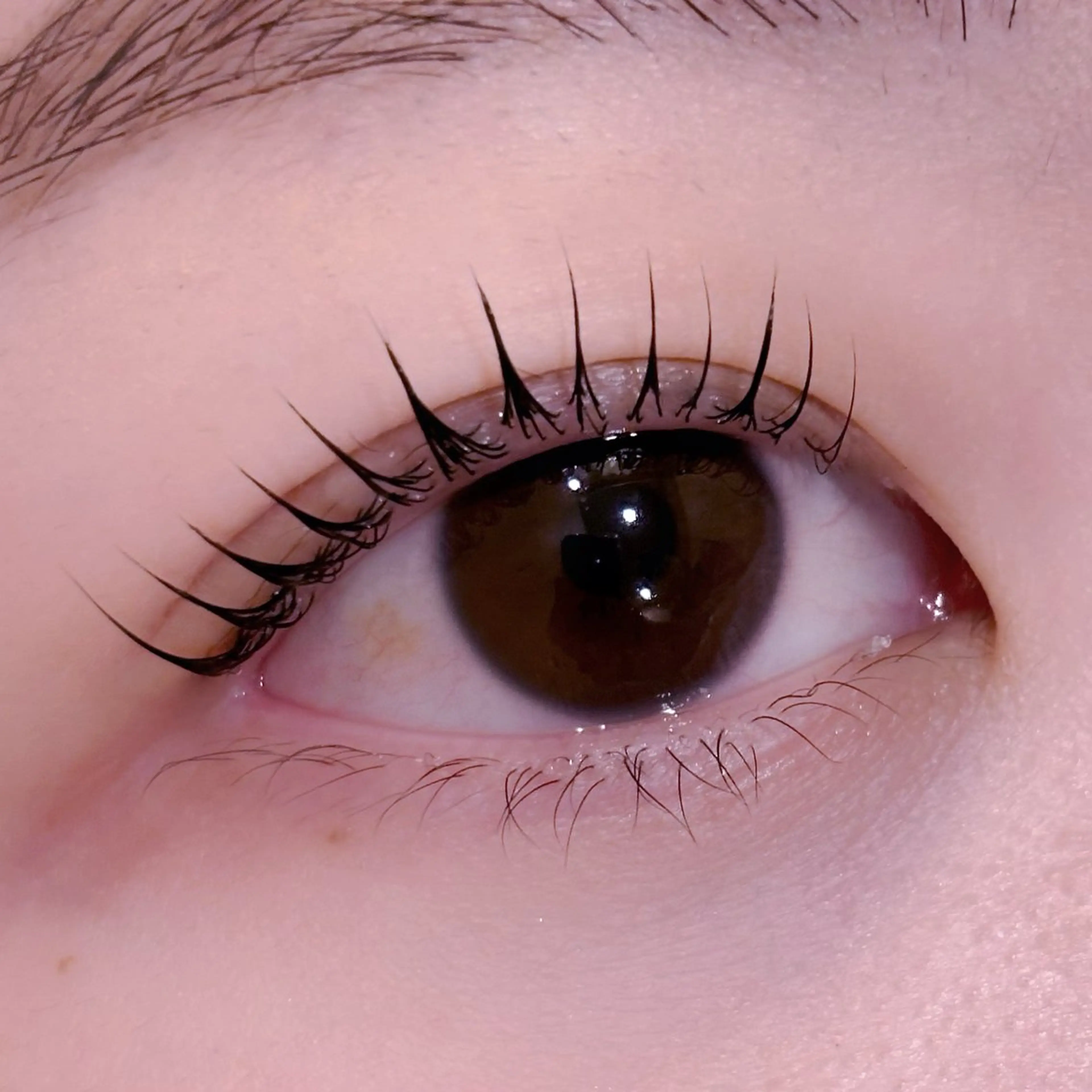 マツエク・マツパ マツパ pono大宮東口店 店長🩰AOHA🩰のマツエク・マツパデザイン