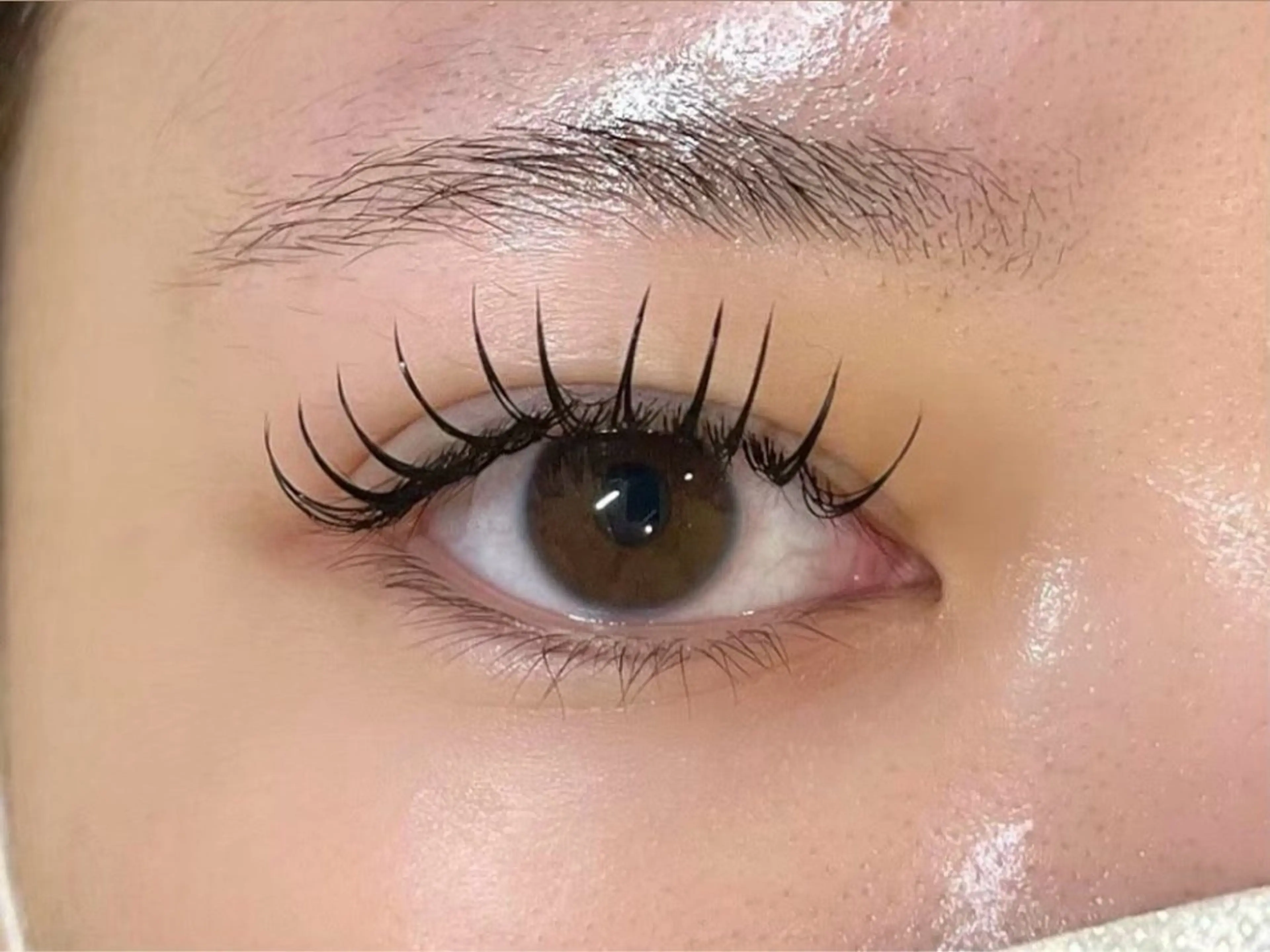 💞【✨ご新規様限定✨】flat lash120本まで(オフ無料)➕コーティング束感お仕上げ 🌷💎の写真