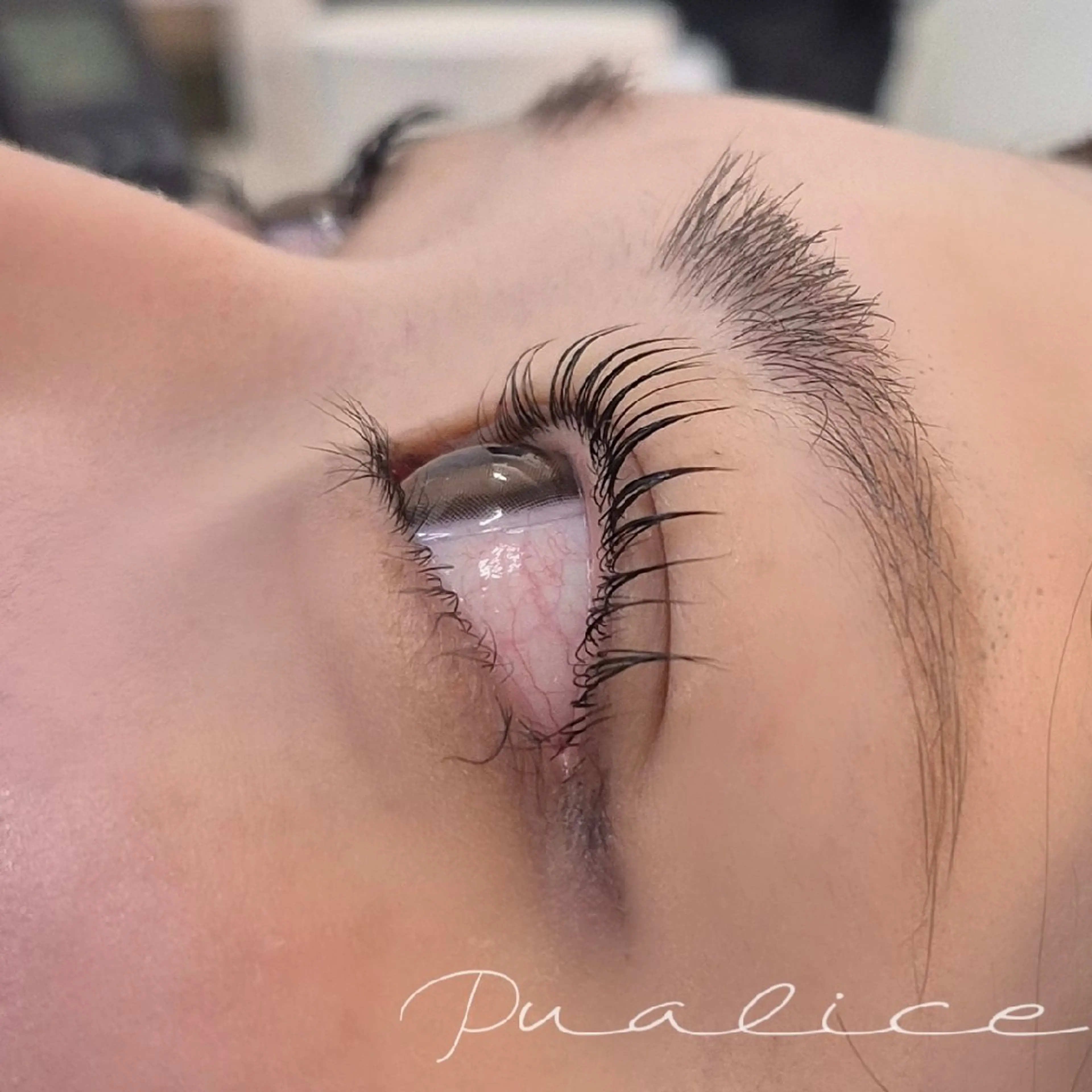 マツエク・マツパ Pualice  木本のマツエク・マツパデザイン