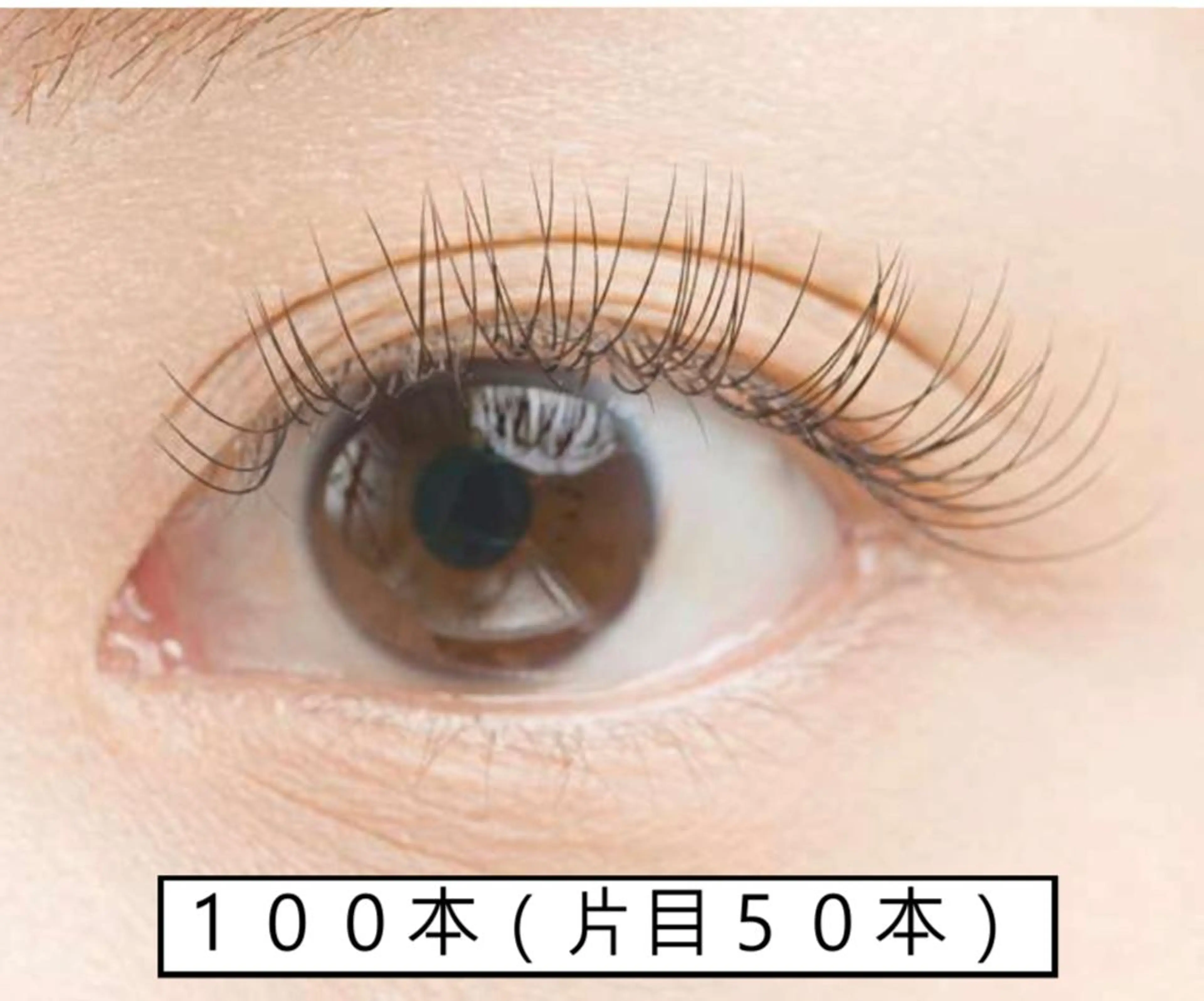 🌙シングルラッシュ100本🌙【minimo価格】の写真