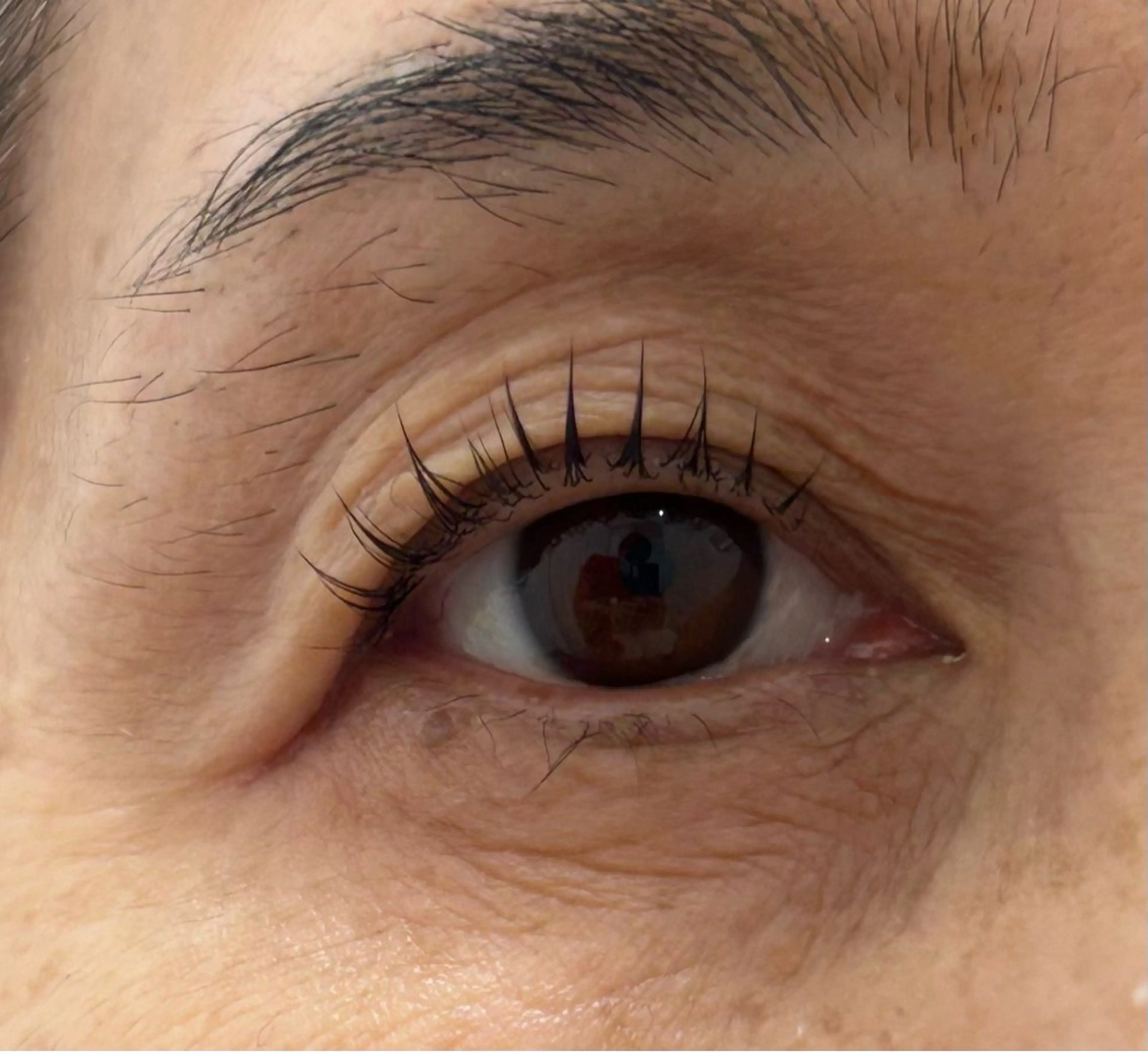 マツエク・マツパ lua eye beauty所属・河野 真彩等のマツエク・マツパデザイン