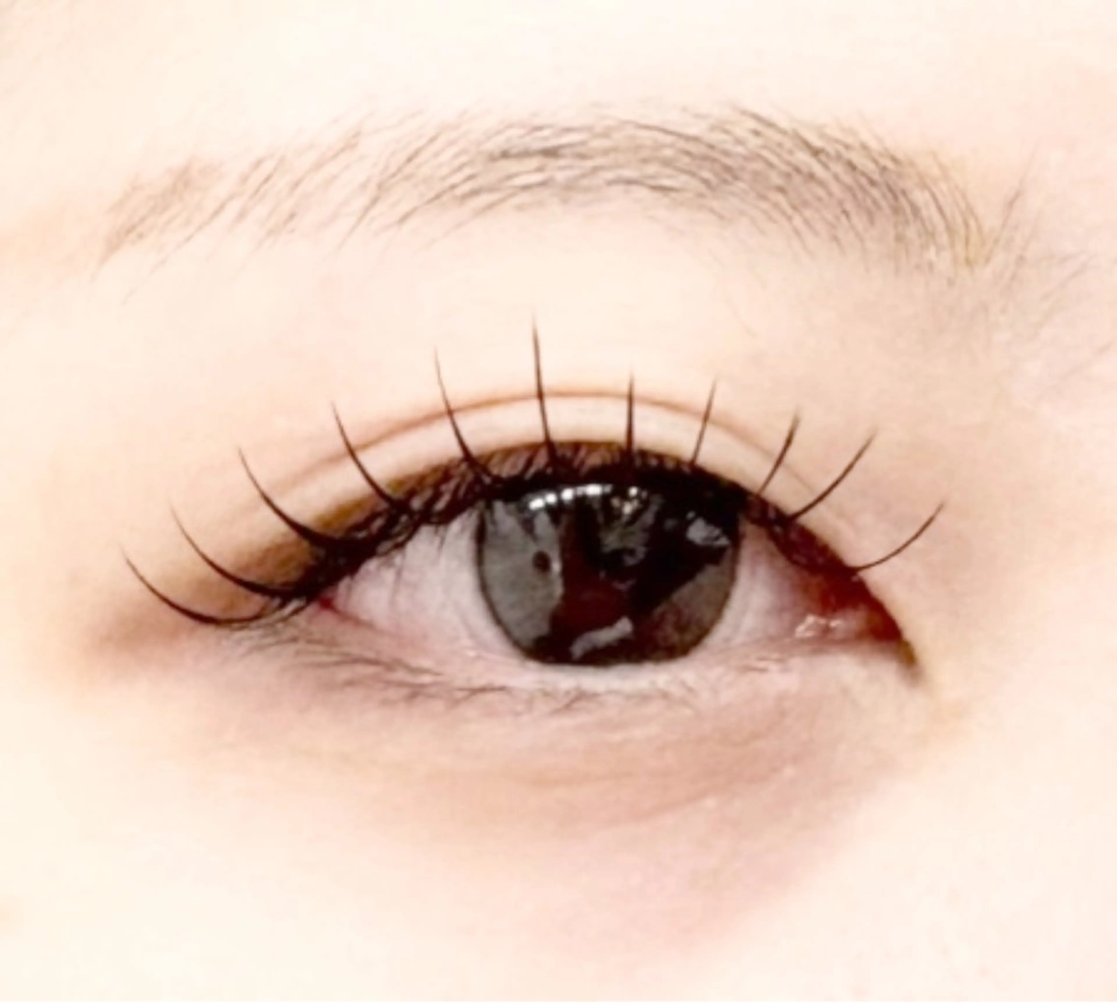 マツエク・マツパ 束感まつ毛 Dカール フラットラッシュ Eyelash Nailsalon Neo beauty所属・Neo beauty Rinkaのマツエク・マツパデザイン