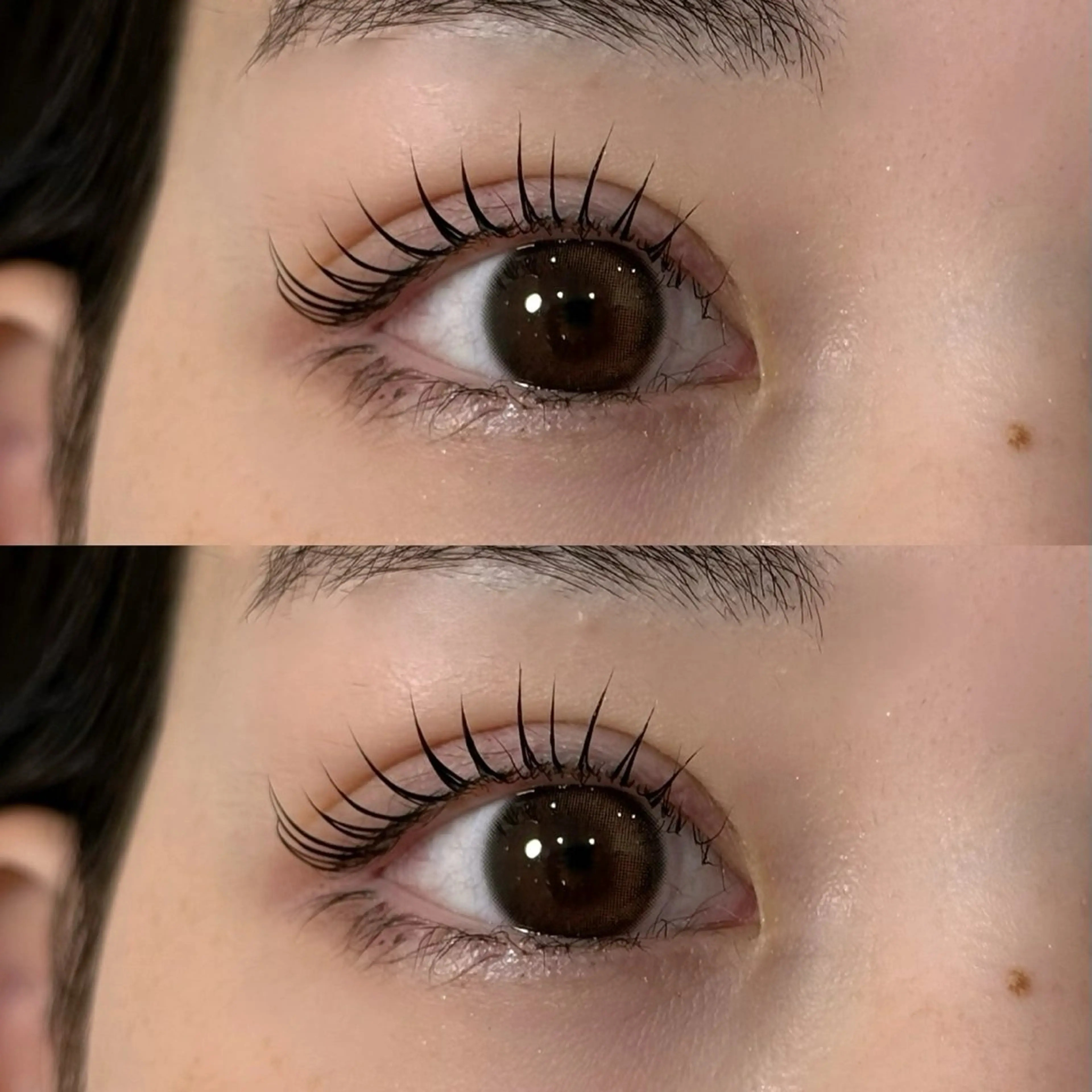 【🎅クリスマス限定価格🎄】メーテルラッシュリフト+美容液コーティングの写真