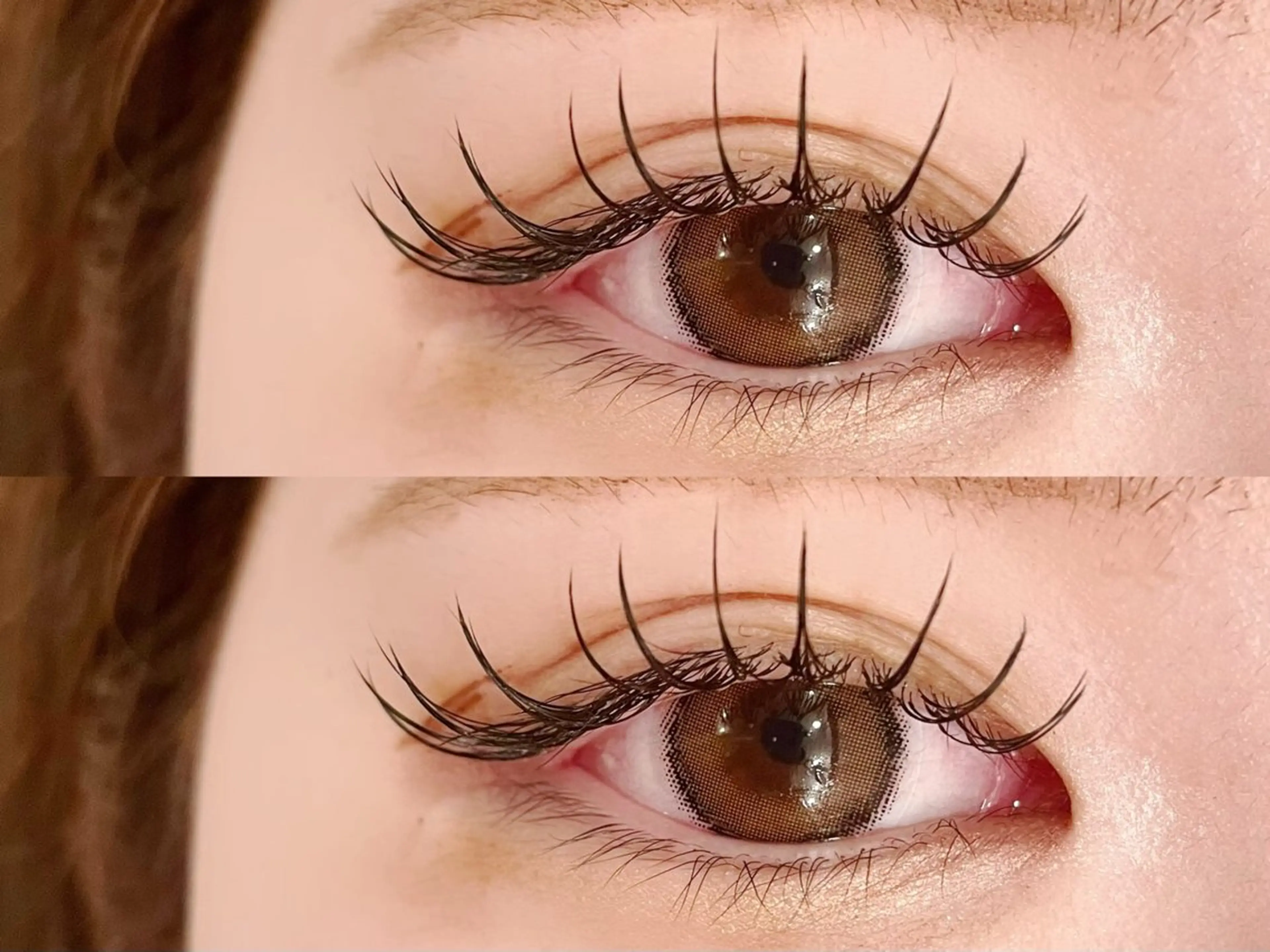 【LEDパリエク】パリジェンヌラッシュリフト＋LEDフラットラッシュ80本❣️(オフ込)\8980の写真