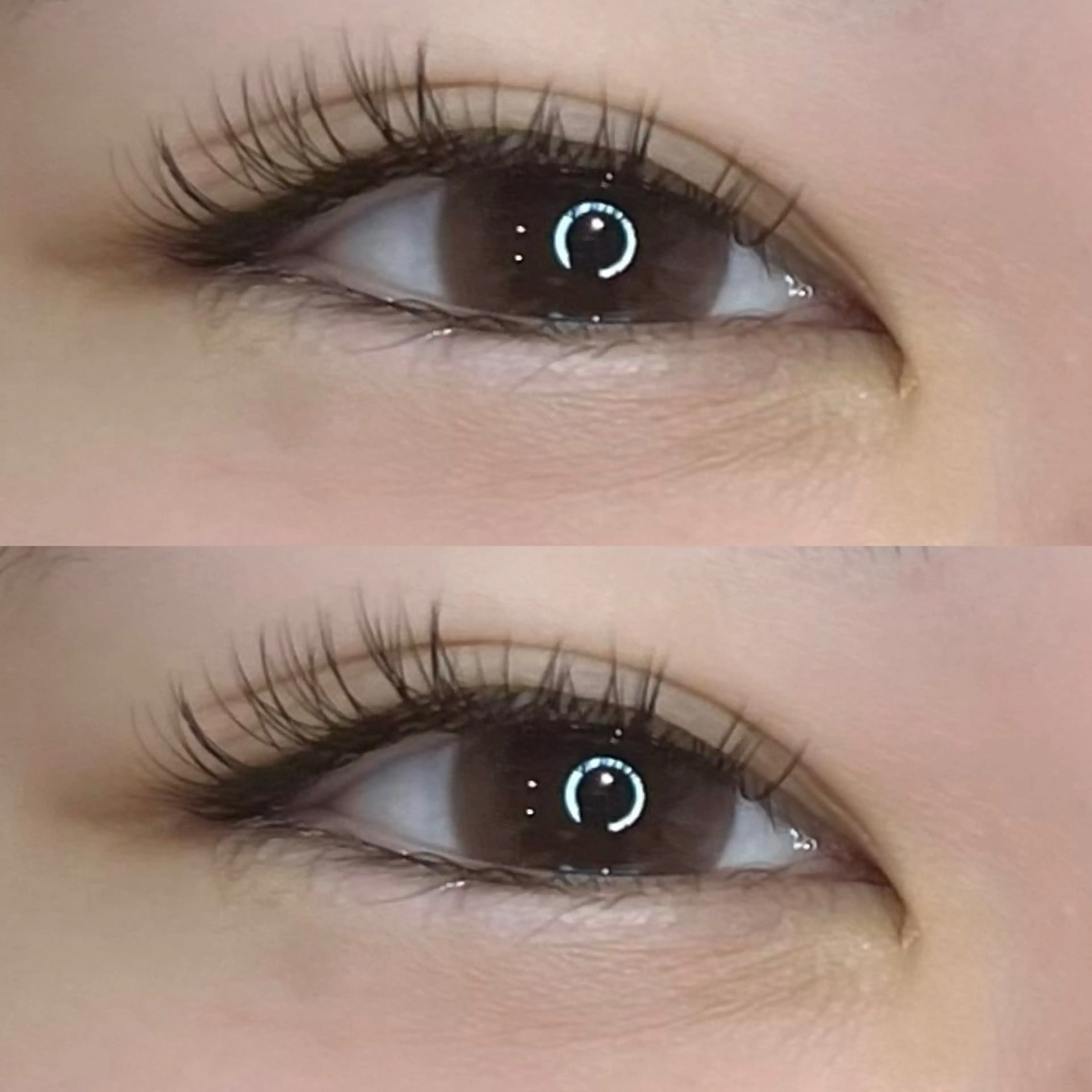 マツエク・マツパ Cカール キュート narumi .のマツエク・マツパデザイン