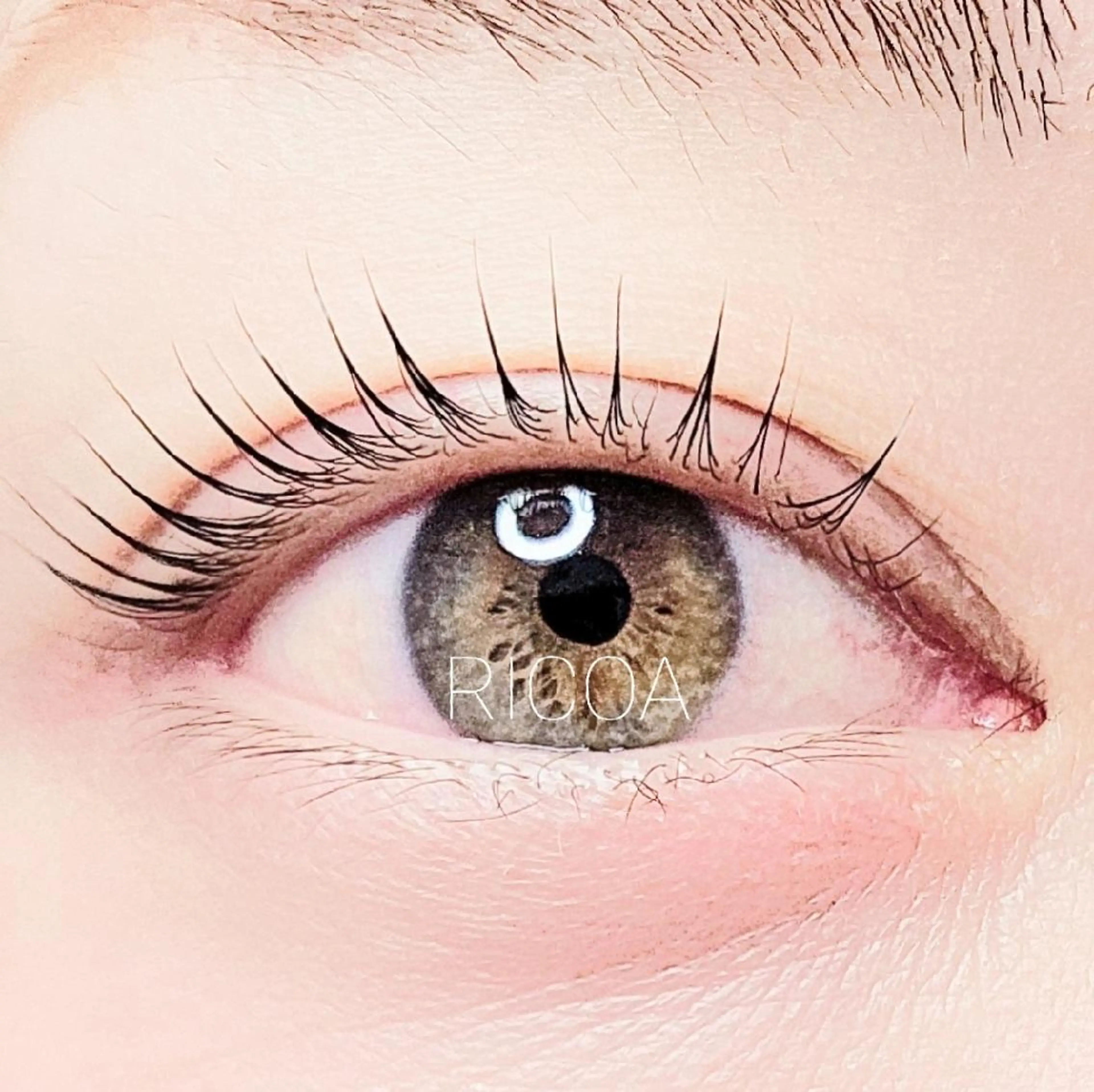 丁寧さが売り♪まつ毛パーマ上のみの写真