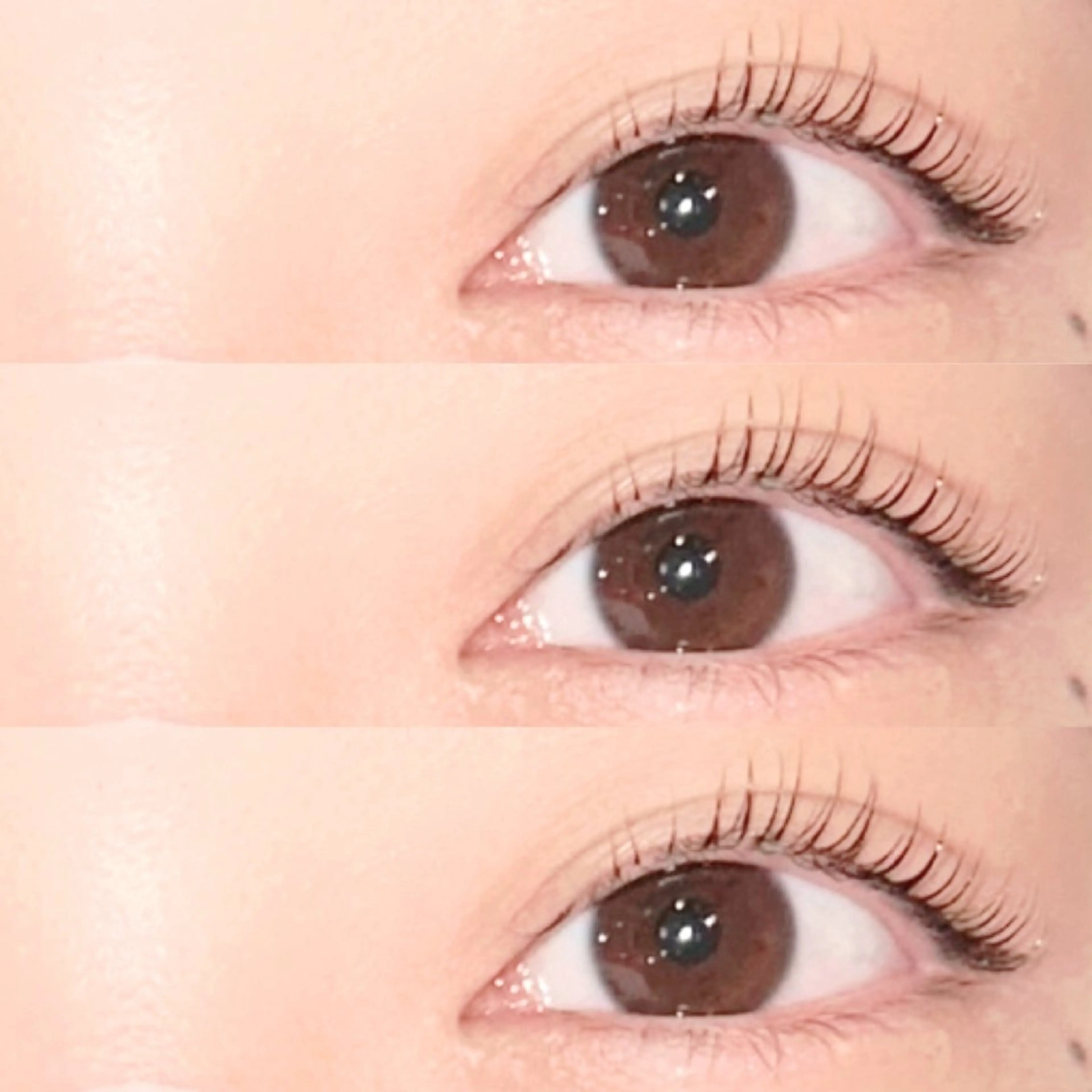 マツエク・マツパ ナチュラル 一重×まつ毛パーマ FAHREN-PURE所属・小林 楓羽加‪のヘアスタイル