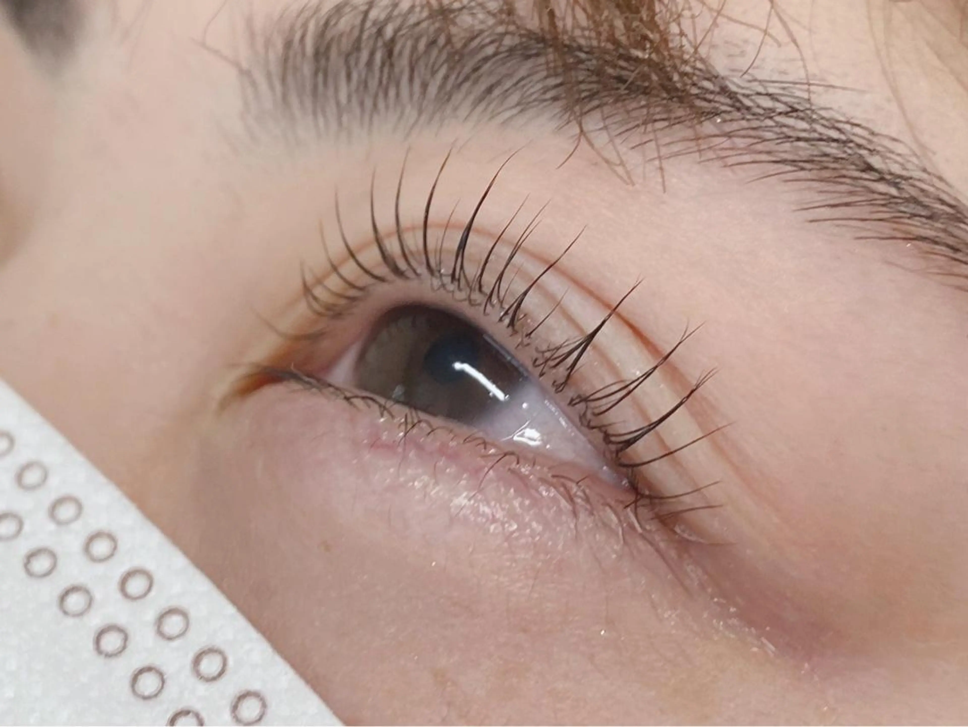 マツエク・マツパ まつげパーマ 一重×まつ毛パーマ alicetokyo enari🪄のマツエク・マツパデザイン