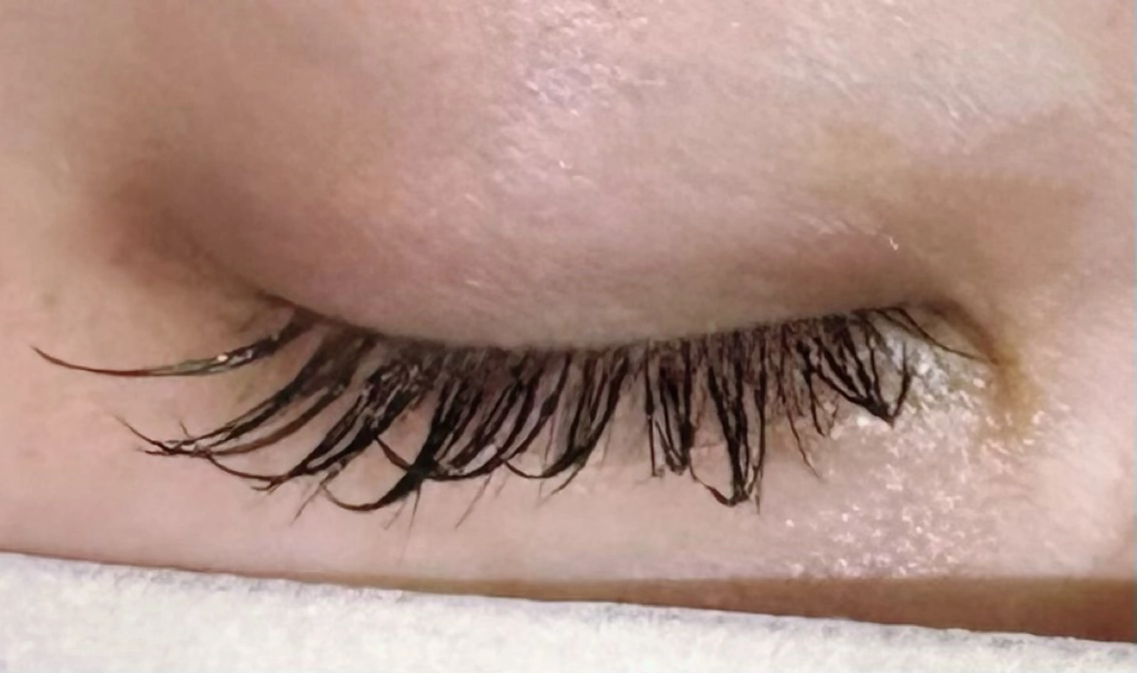 LEDマツエク　フラットラッシュ80本　オフなしの写真