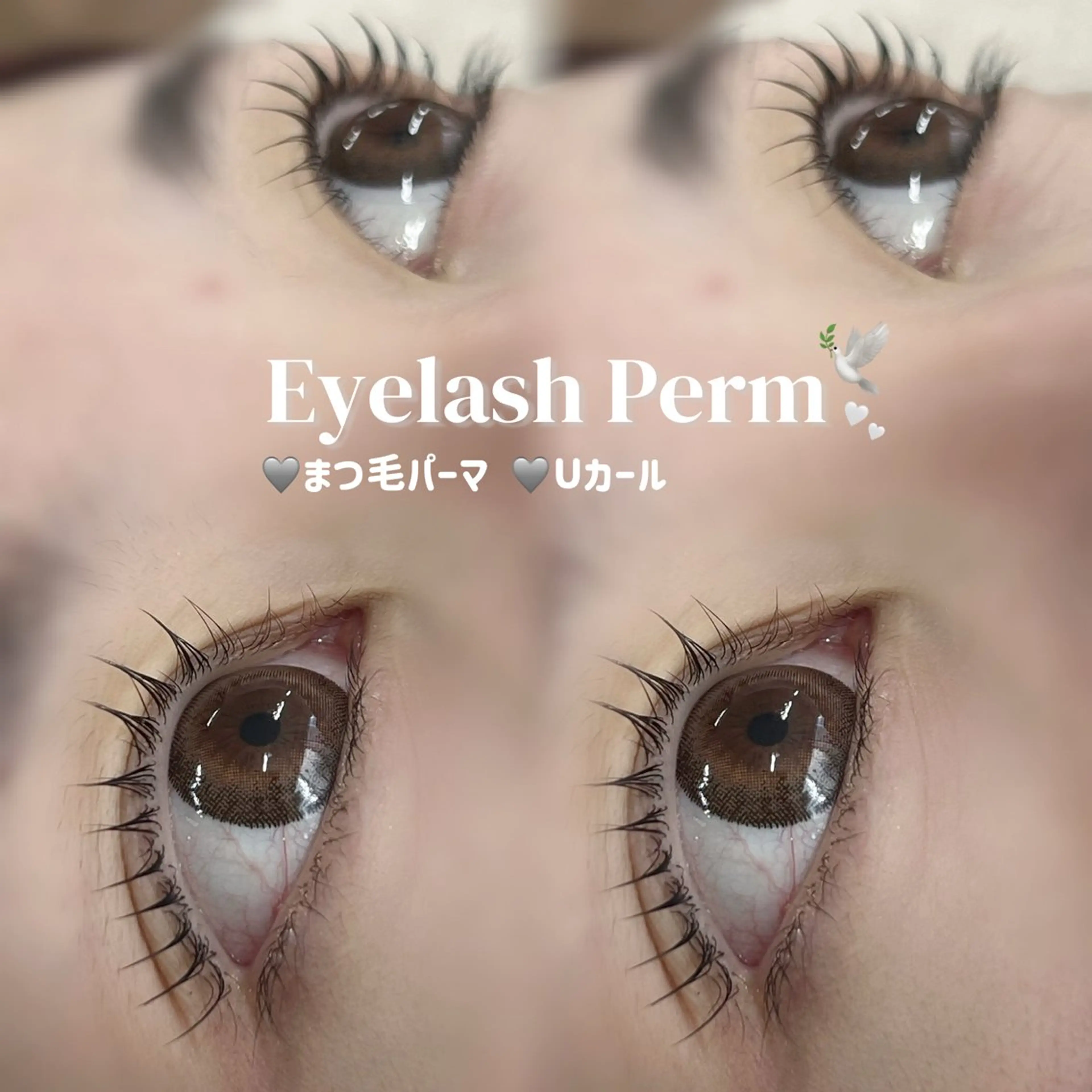 マツエク・マツパ 石渡 心花のマツエク・マツパデザイン