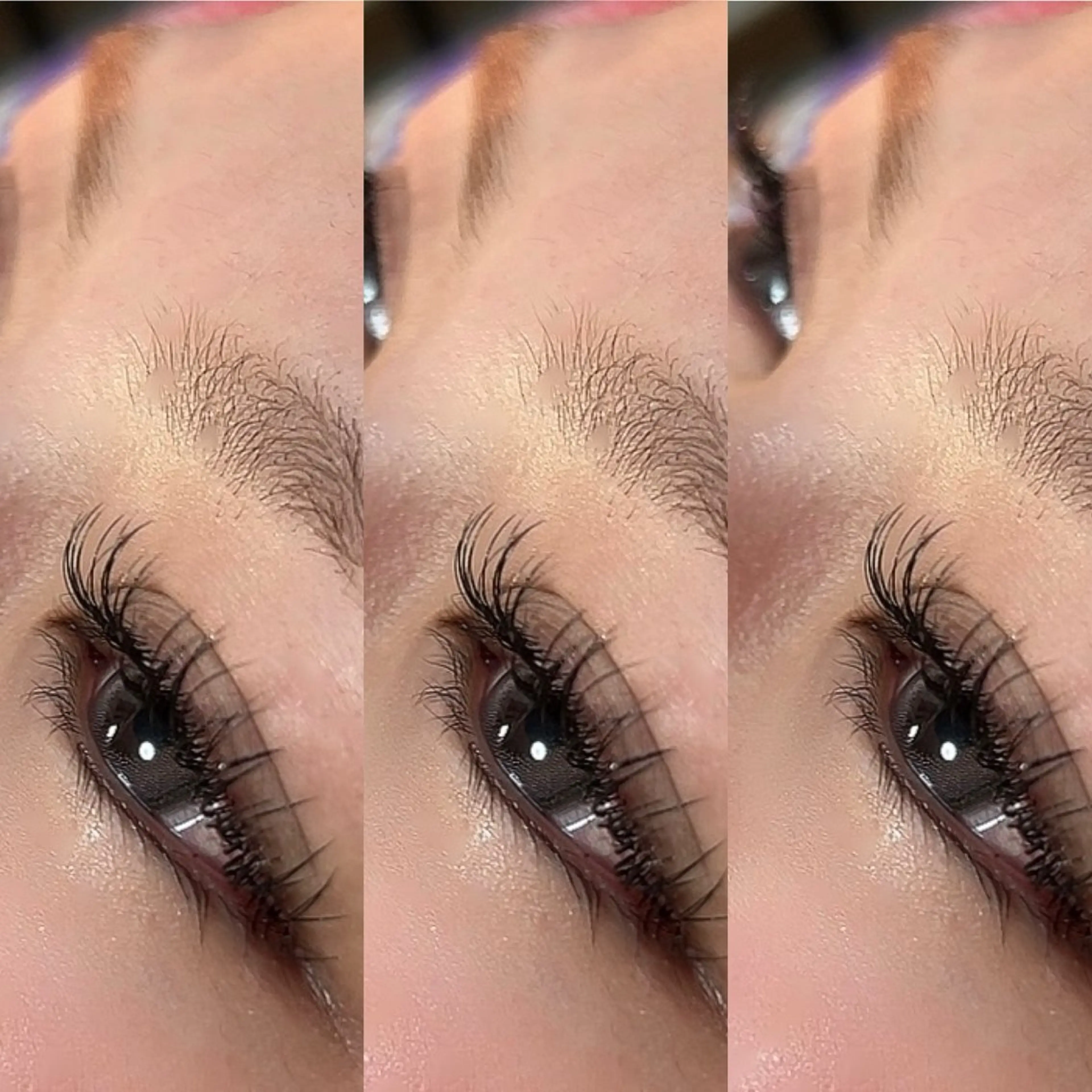 フラットマットラッシュ付け放題【仕上げコーティング付き】の写真