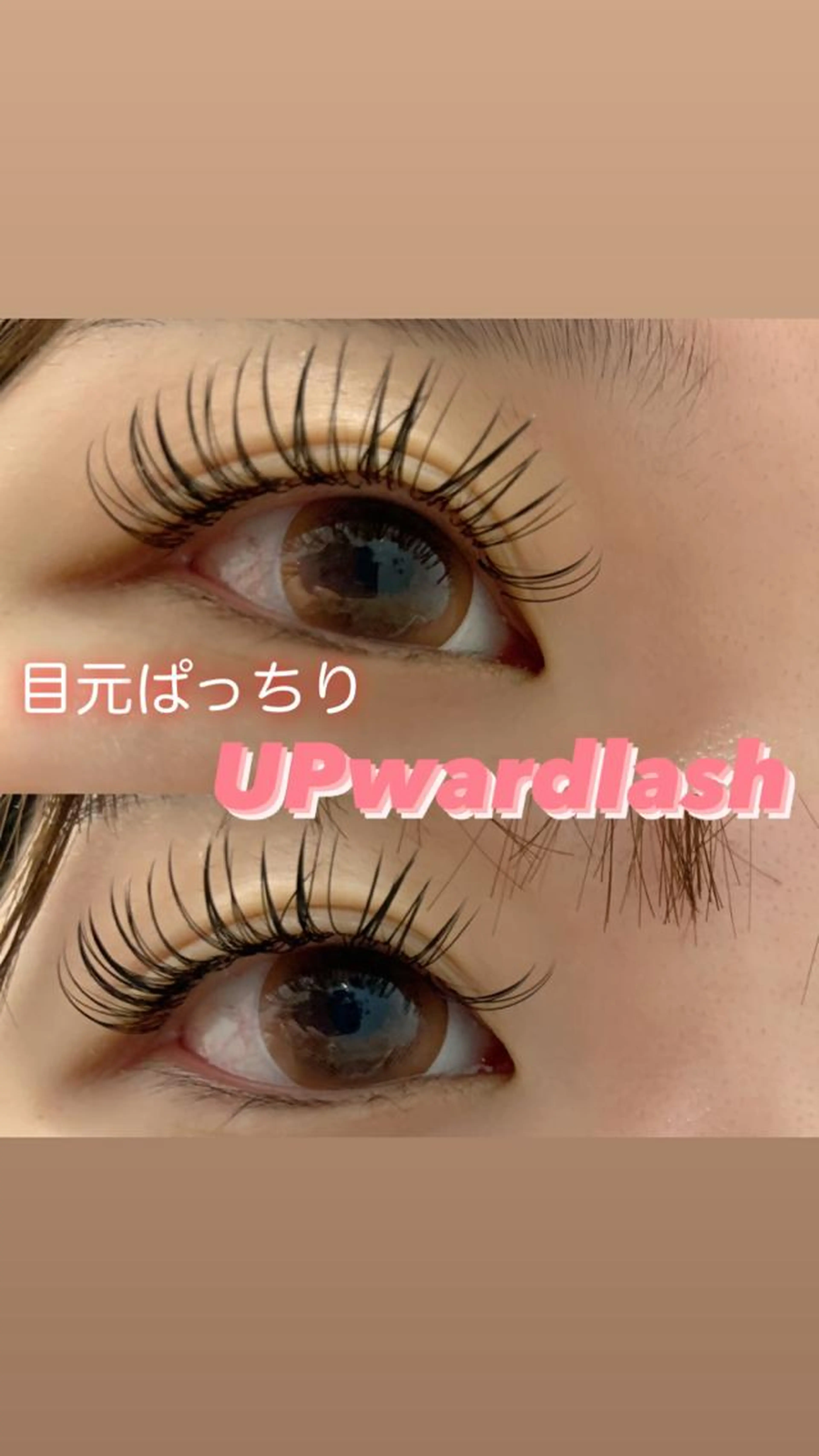 UPワードラッシュ120本の写真