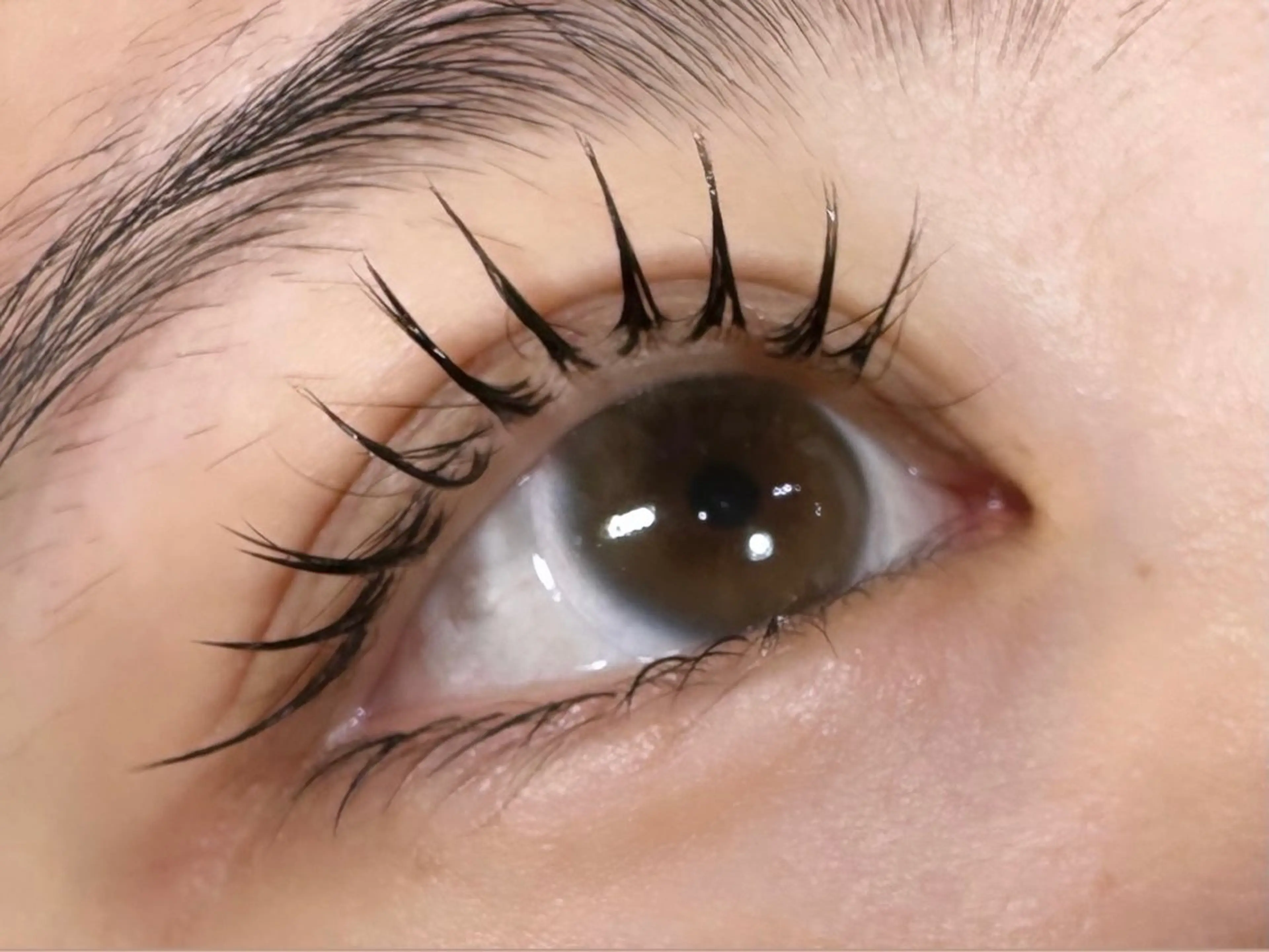 マツエク・マツパ カラーマツエク マツエク 川畑🌻 アンジェリカ錦糸町のマツエク・マツパデザイン