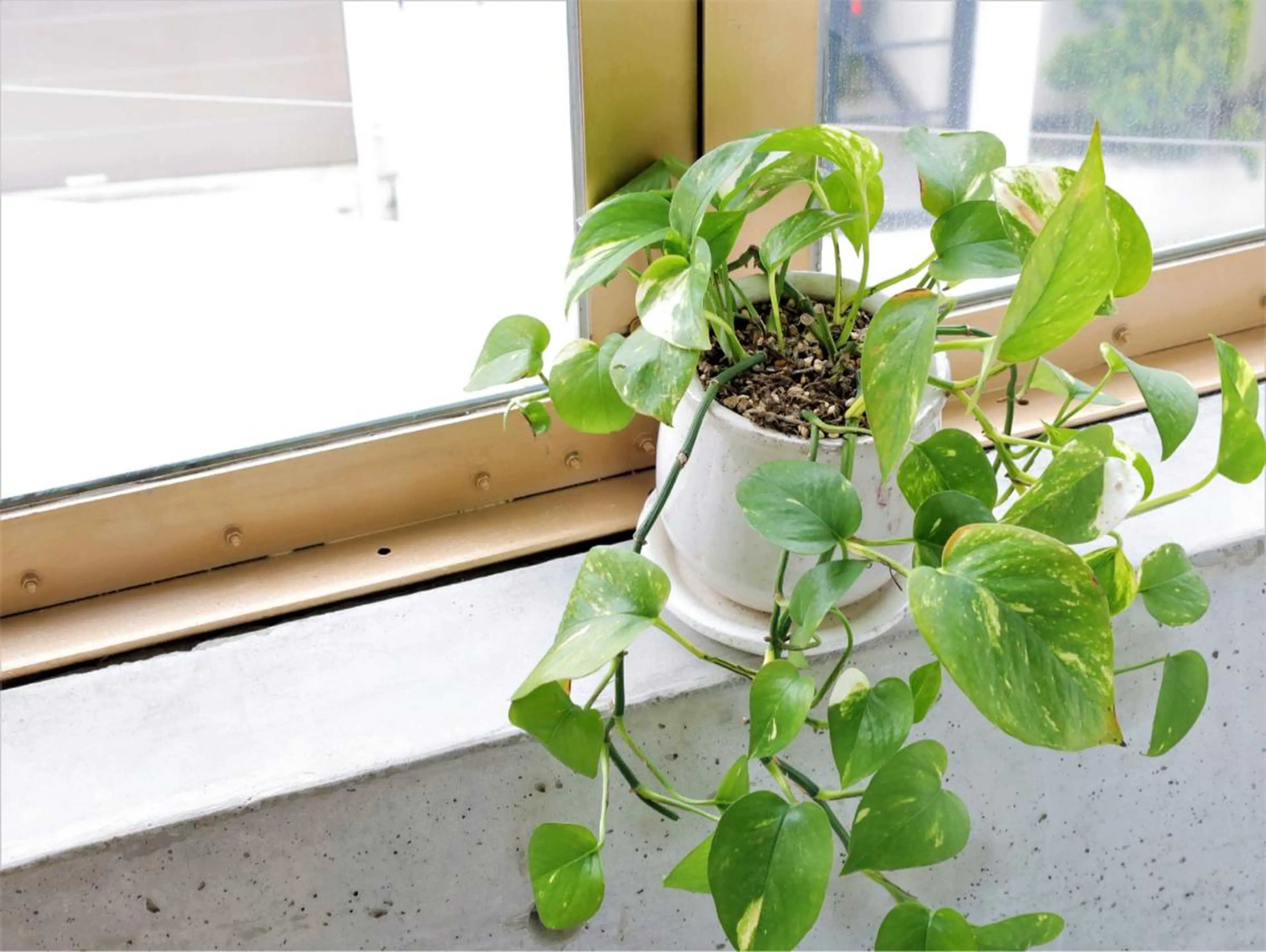 MORETHAN整体所属・Hiro 【骨盤矯正/祐天寺】のエステ・リラクイメージ