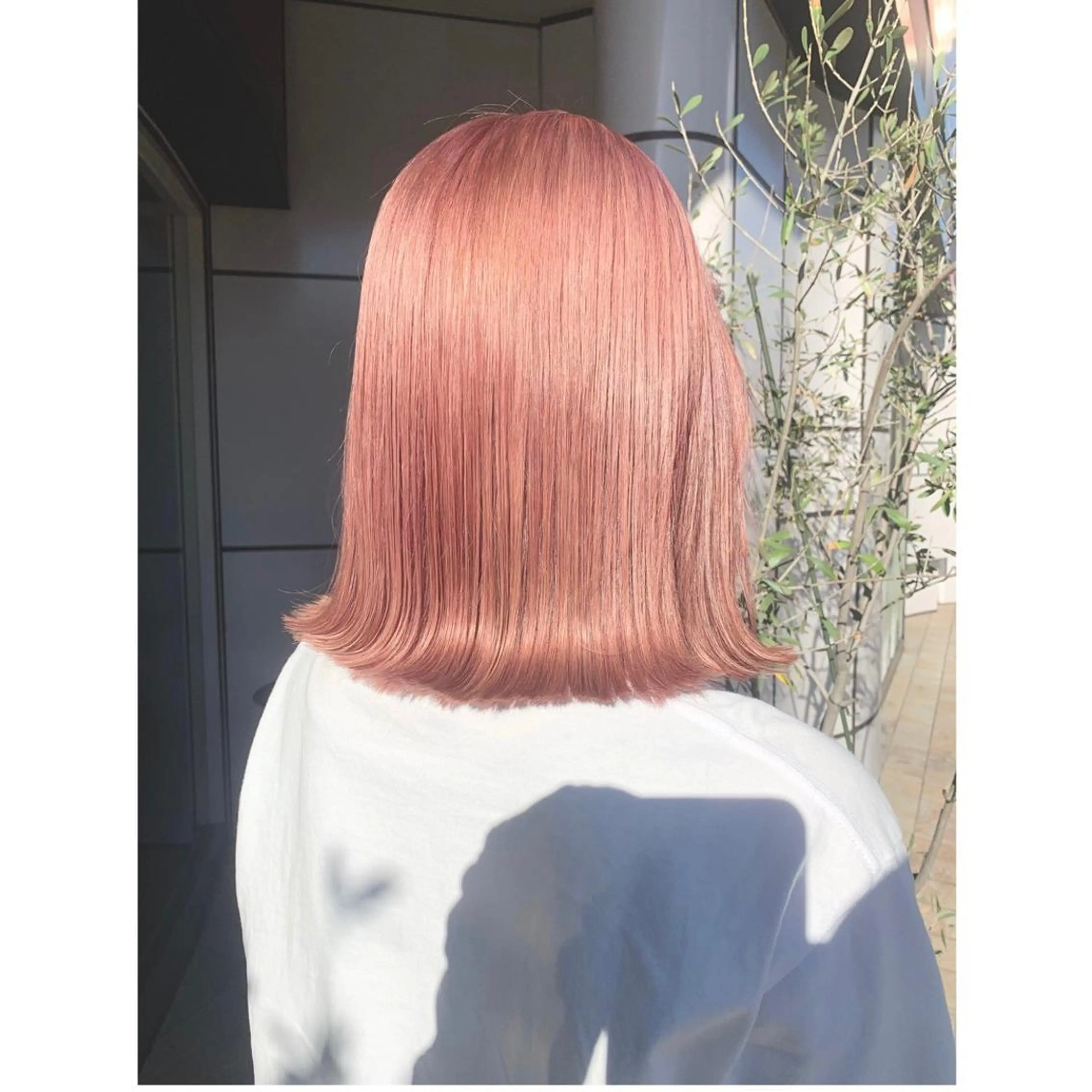 ミディアム カラー EARTH 三重県 四日市店所属・髪のお悩み改善 /bleach坂本拓のヘアスタイル