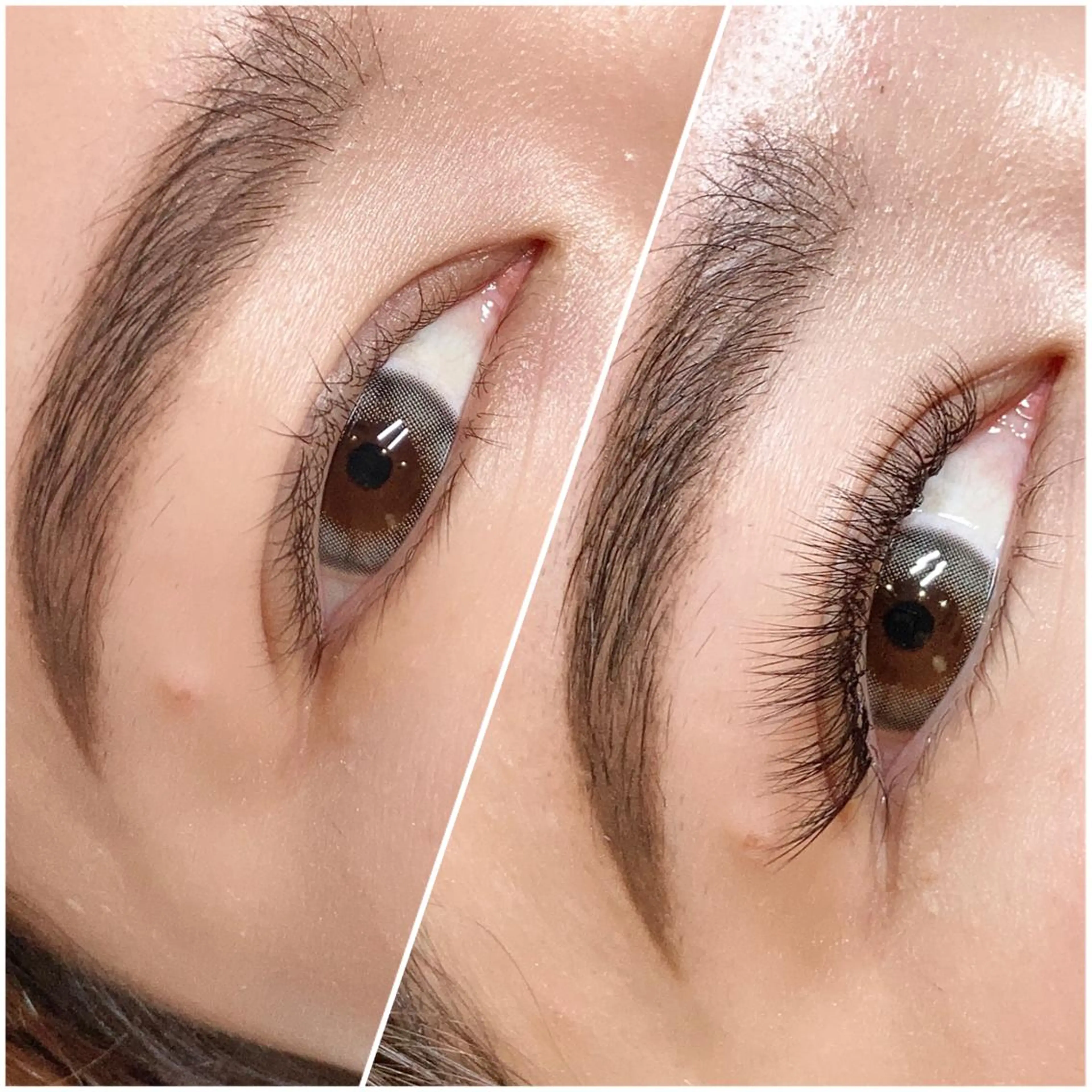 【繊細にボリュームアップ✨バッチリ華やかふわっとまつげに🪽】 3Dボリュームラッシュ120束（オフ込）の写真