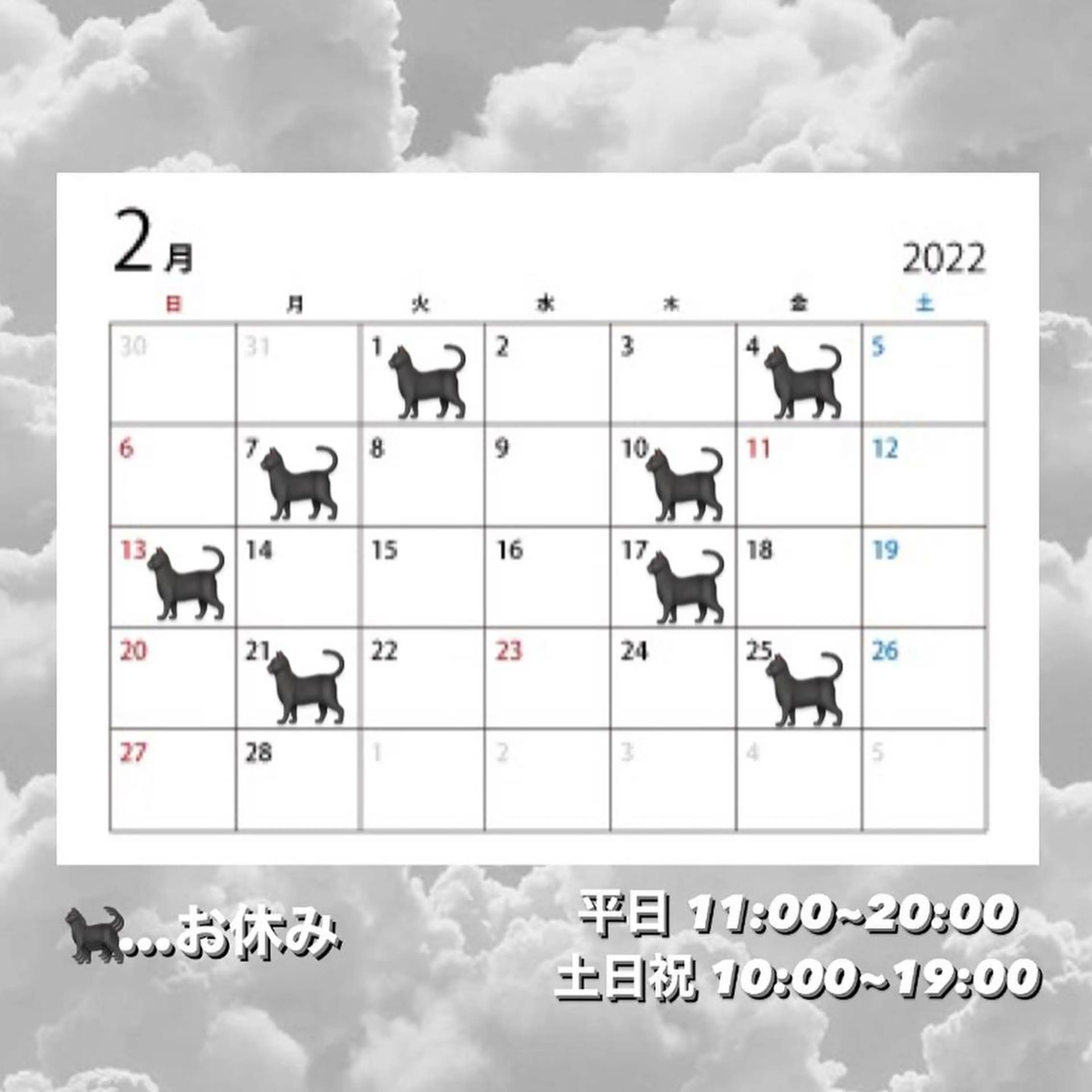 マツエク・マツパ ロレインブロウ横浜店所属・🤍アイリスト kana🤍のマツエク・マツパデザイン