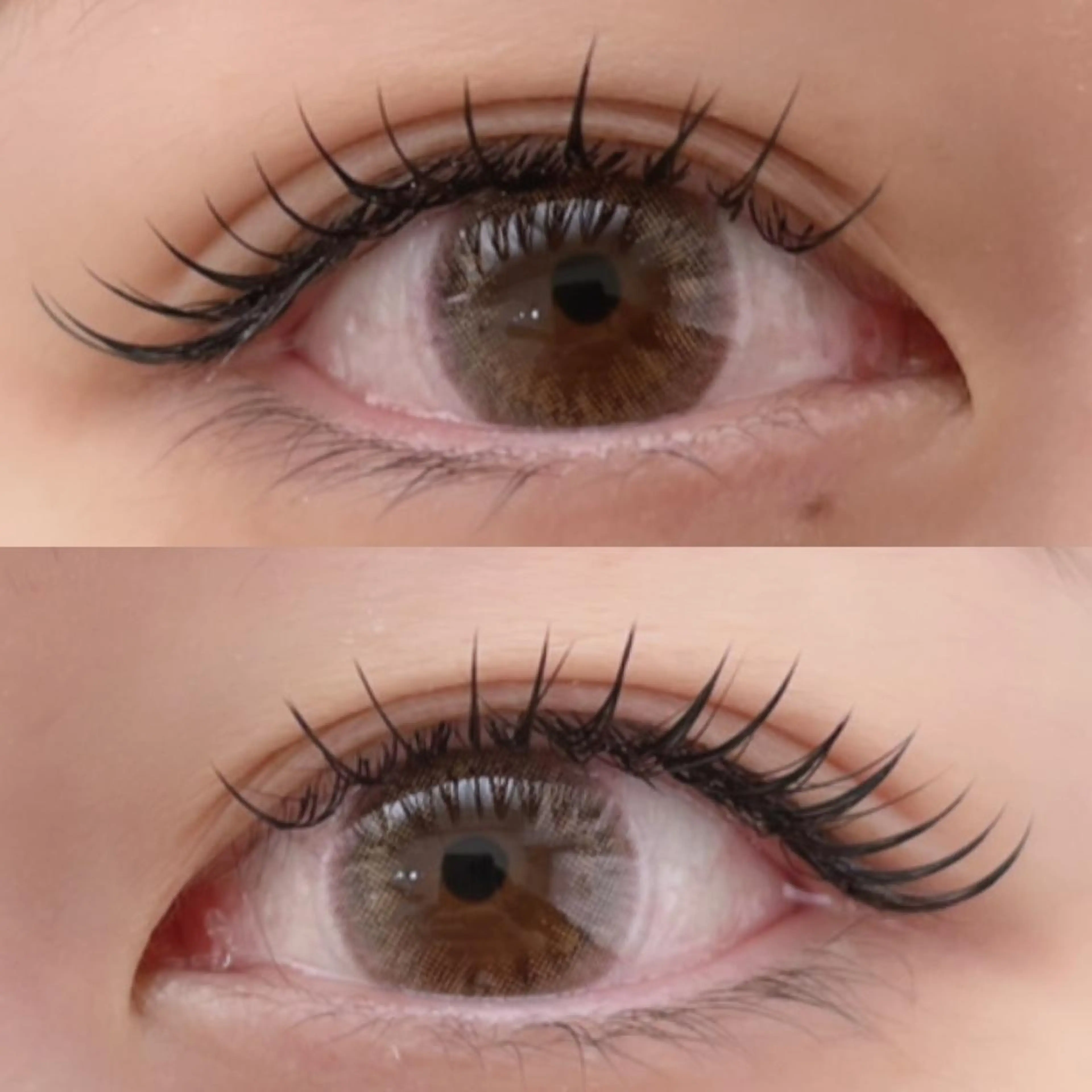 マツエク・マツパ マツエク 山脇🐋🤍 アンジェリカ錦糸町のマツエク・マツパデザイン