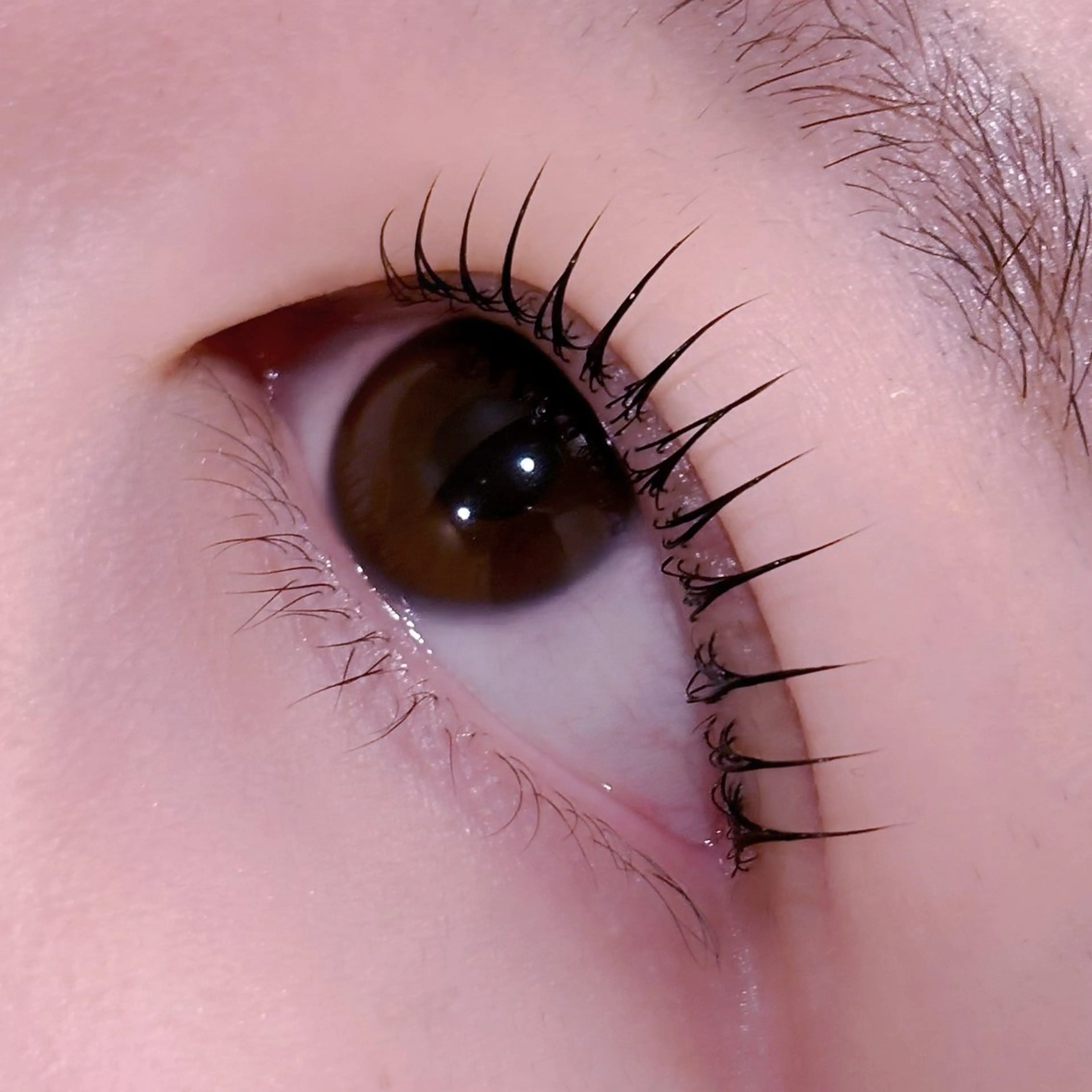 マツエク・マツパ pono大宮東口店 店長🩰AOHA🩰のマツエク・マツパデザイン