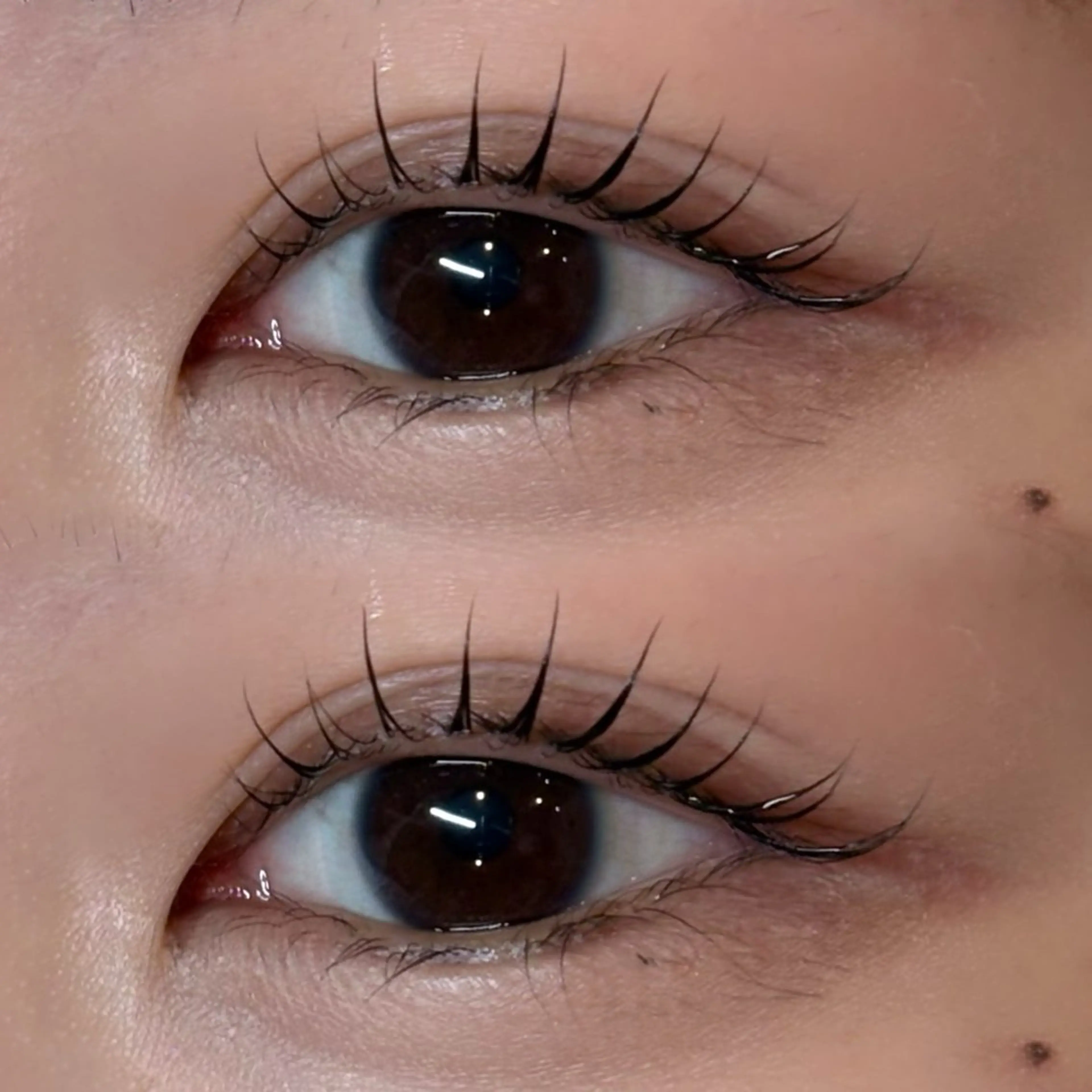 マツエク・マツパ miyu / sofa吉祥寺のマツエク・マツパデザイン