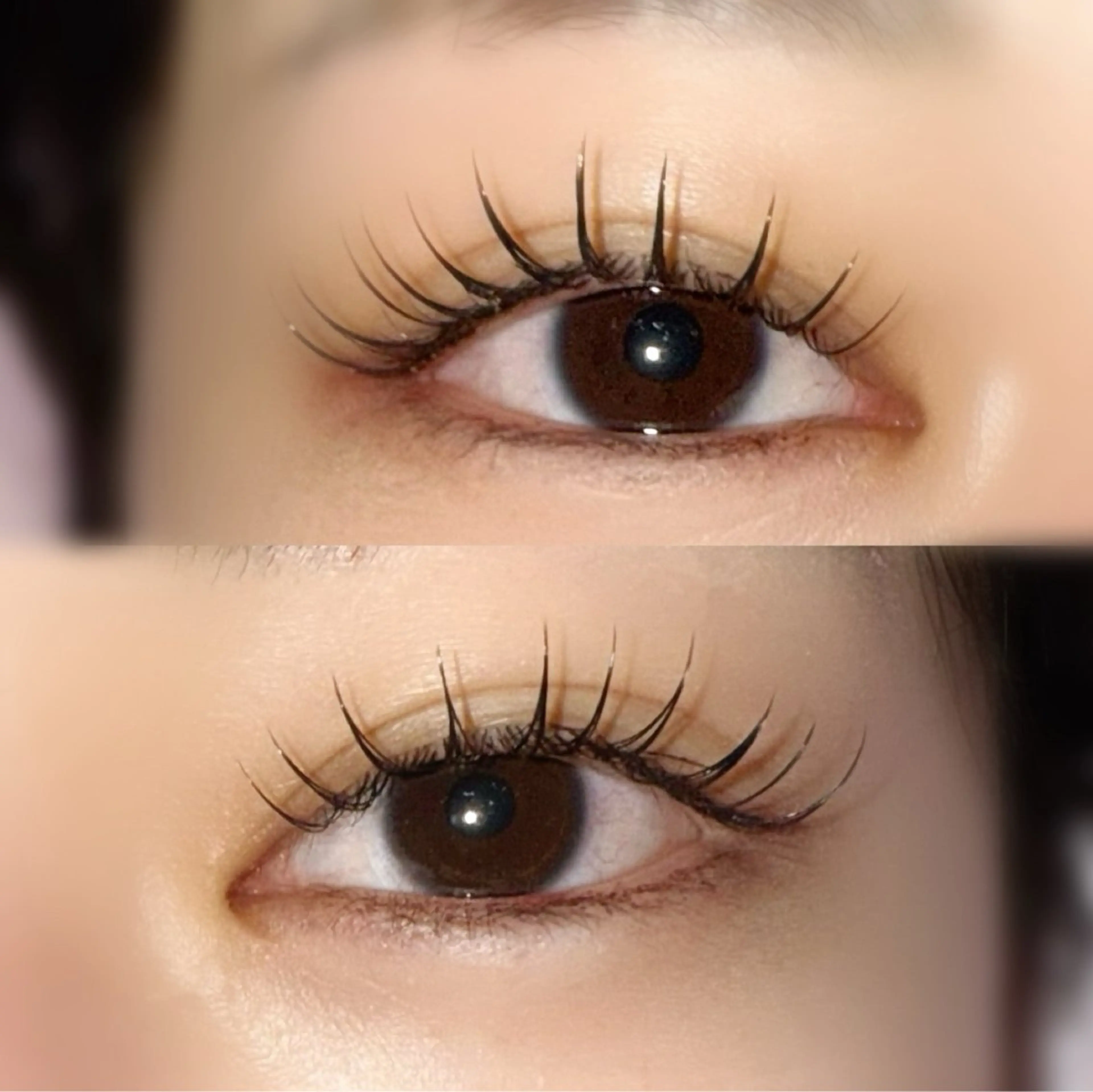 フラットラッシュ80本🌙✨の写真