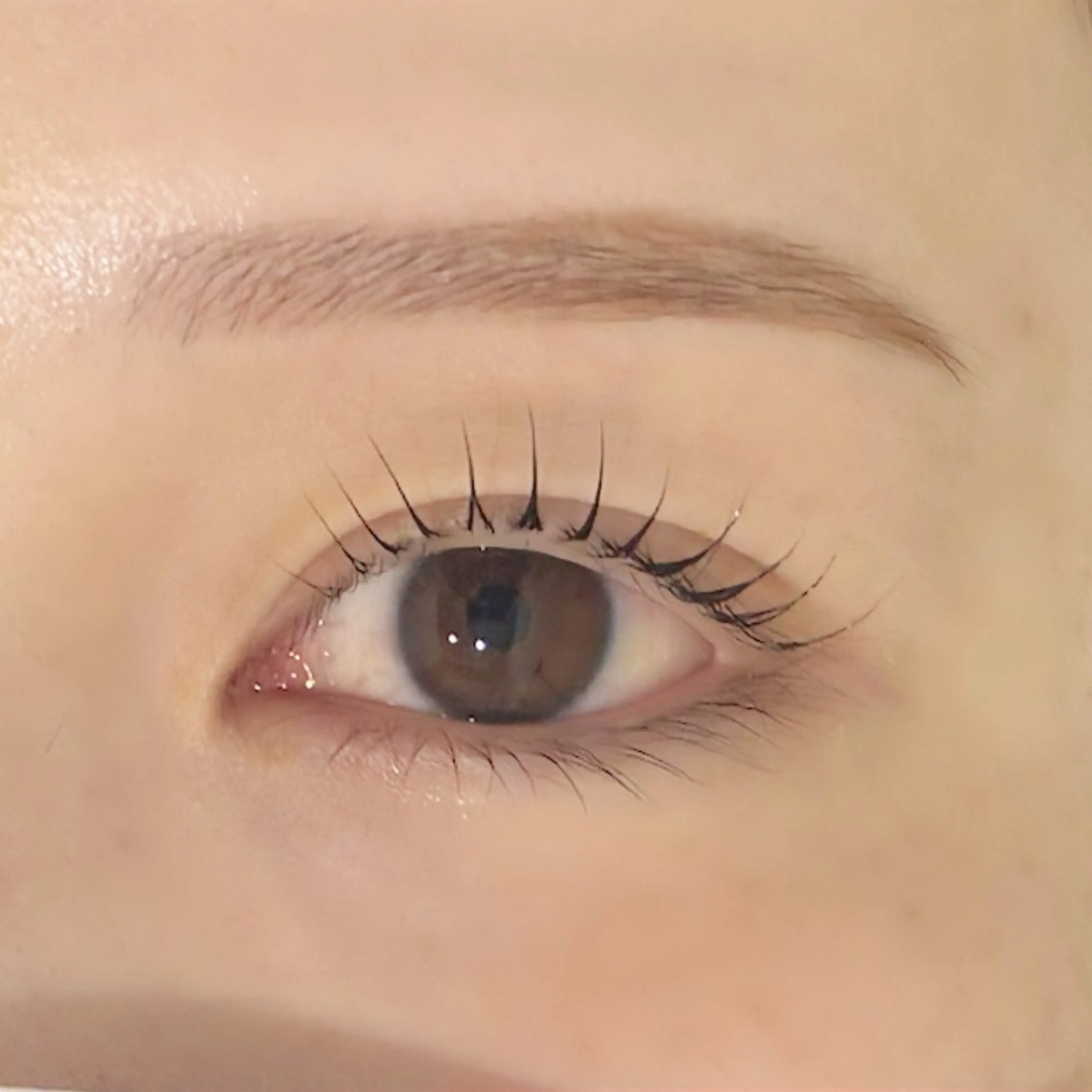 【平日の11時​〜​16時予約の方限定】●セットメニュー●🌼眉毛WAX×まつ毛パーマ🌼パリジェンヌも選べる！📢💭の写真