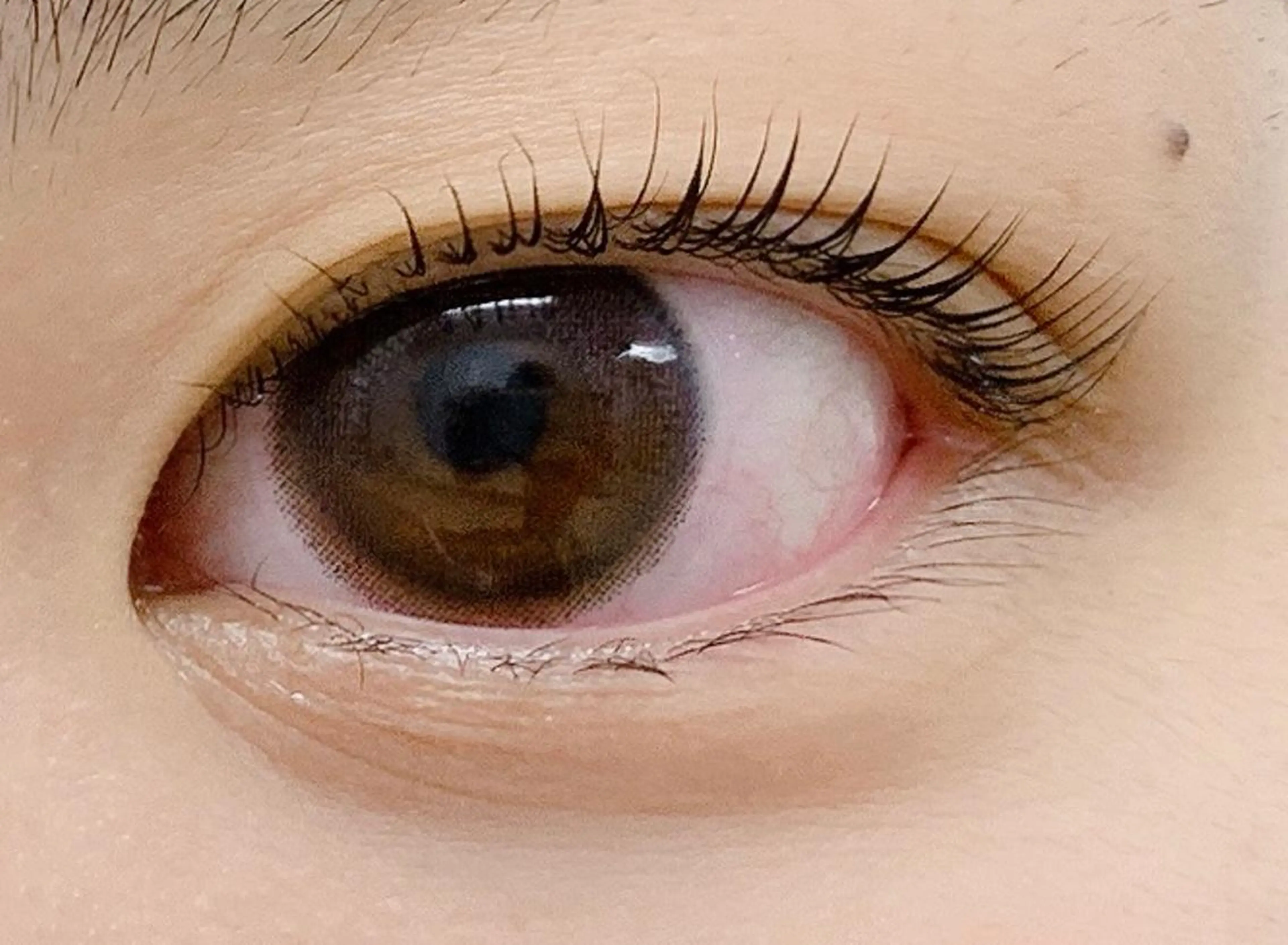 マツエク・マツパ まつげパーマ jessica 武蔵境のマツエク・マツパデザイン