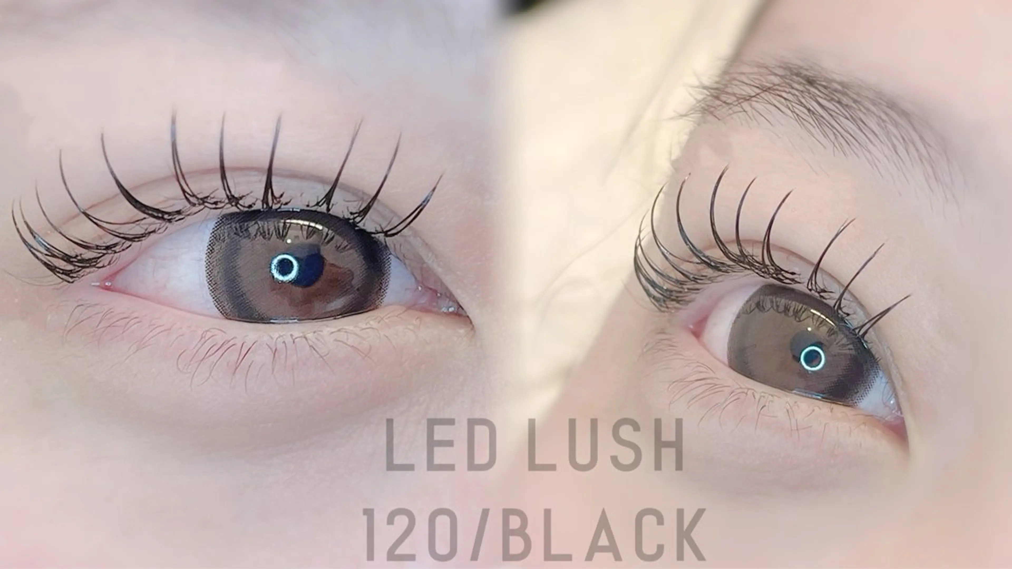 🌸LEDエクステ　100本🌸¥5000の写真