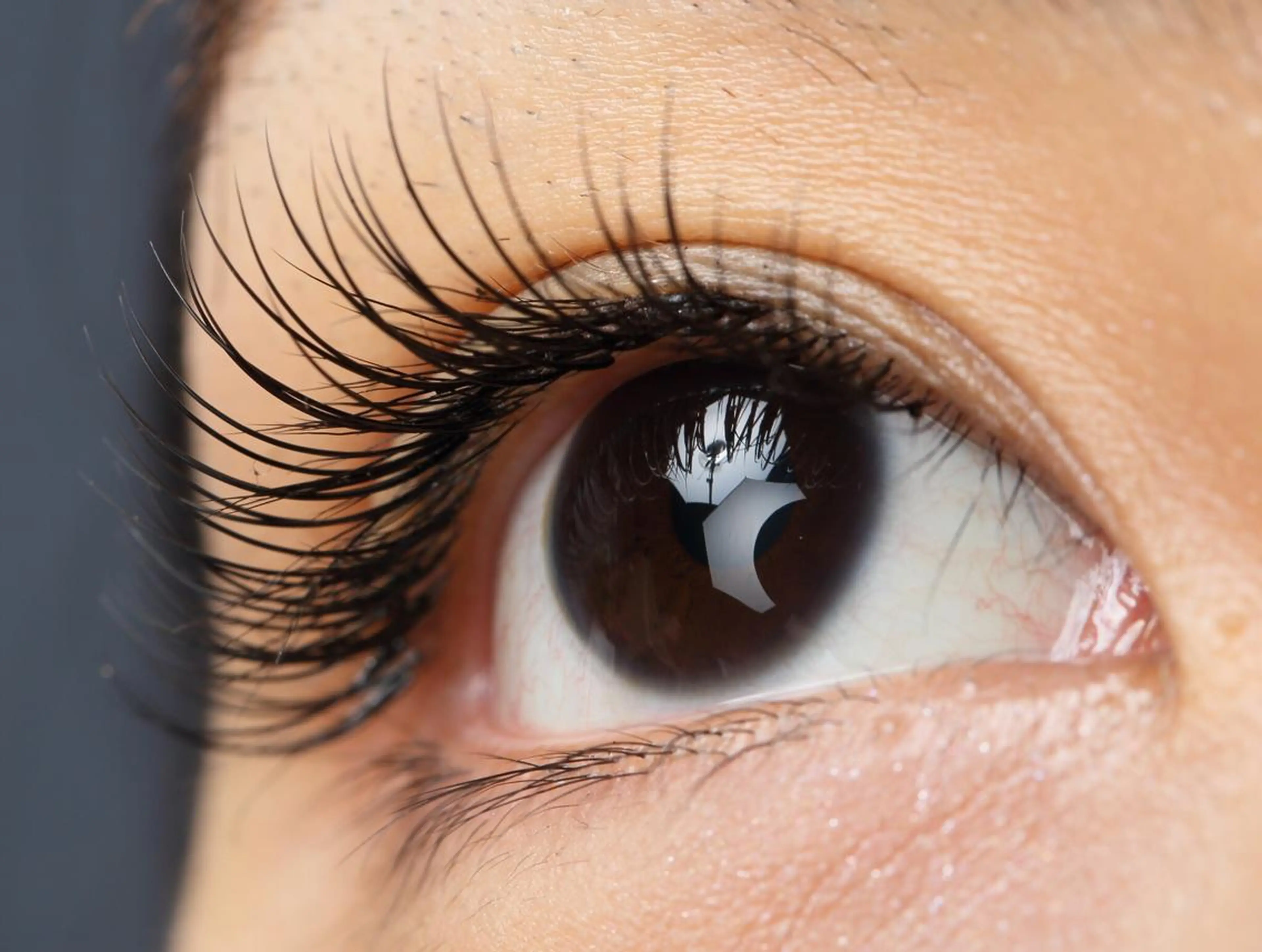 マツエク・マツパ minkstyle 代々木公園店所属・Mink Style 代々木公園店のマツエク・マツパデザイン