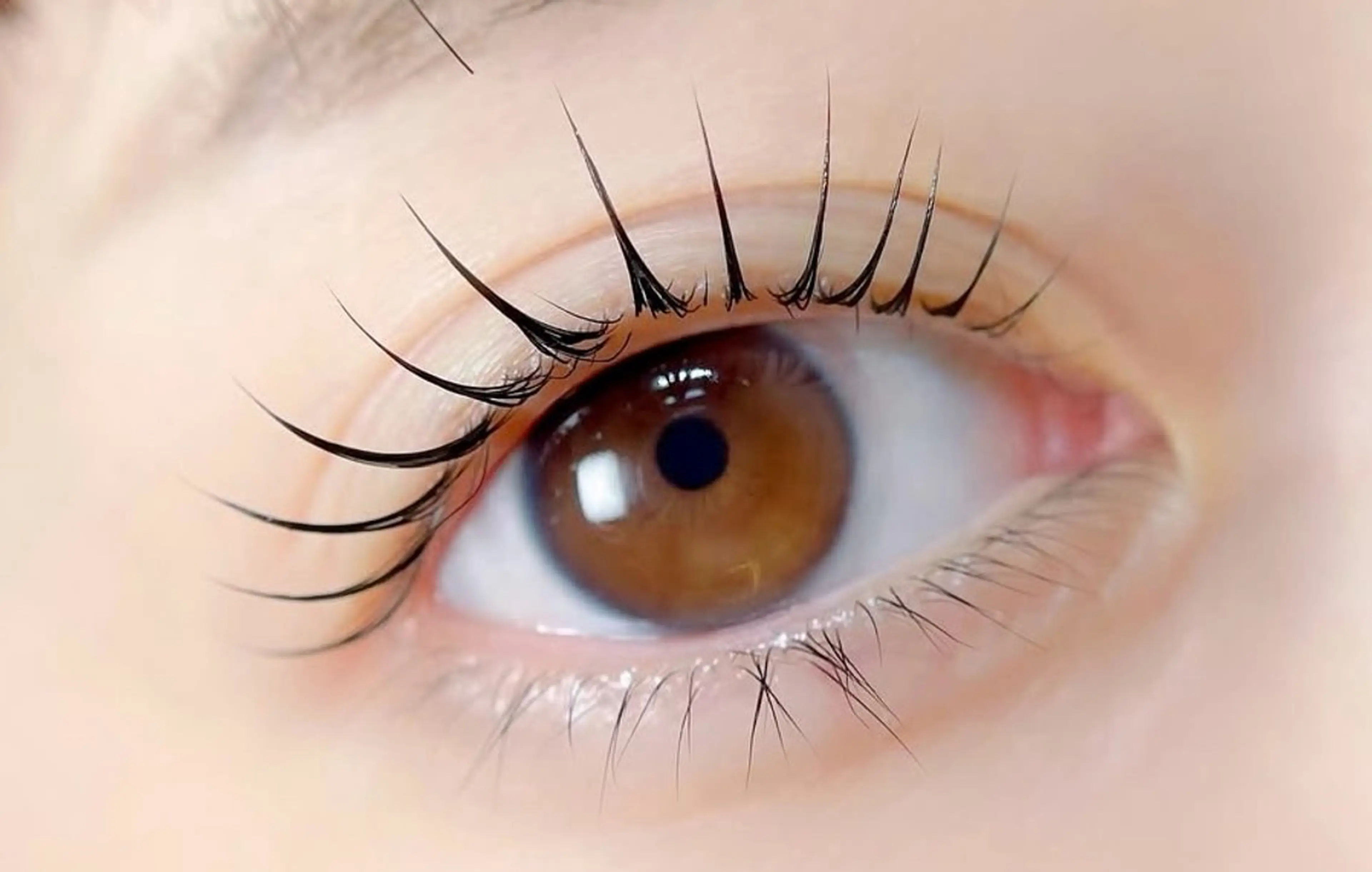 マツエク・マツパ アンジュベル アイラッシュサロンのマツエク・マツパデザイン