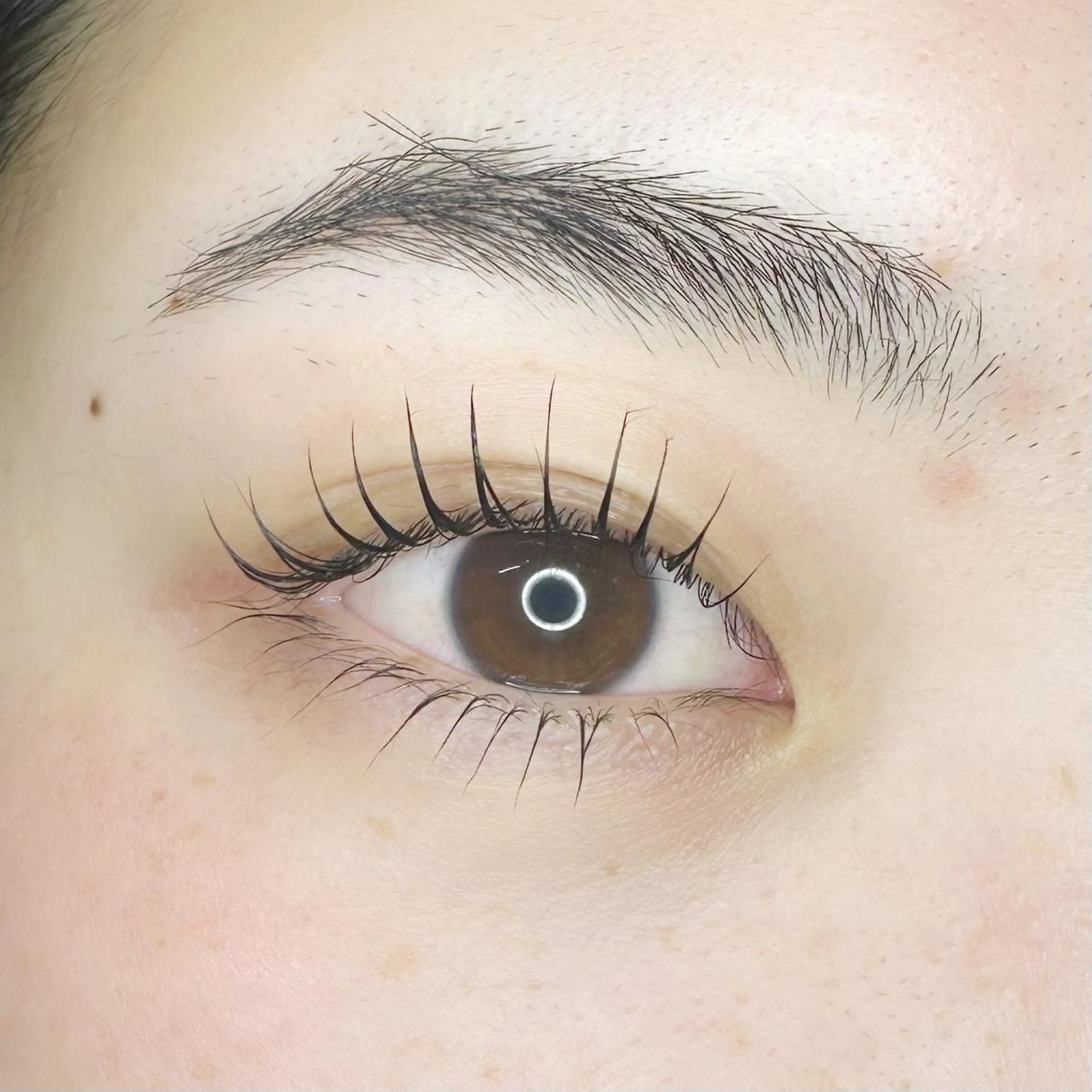 マツエク・マツパ マツパ 口コミ高評価⚡️ Wahf/そうたのマツエク・マツパデザイン