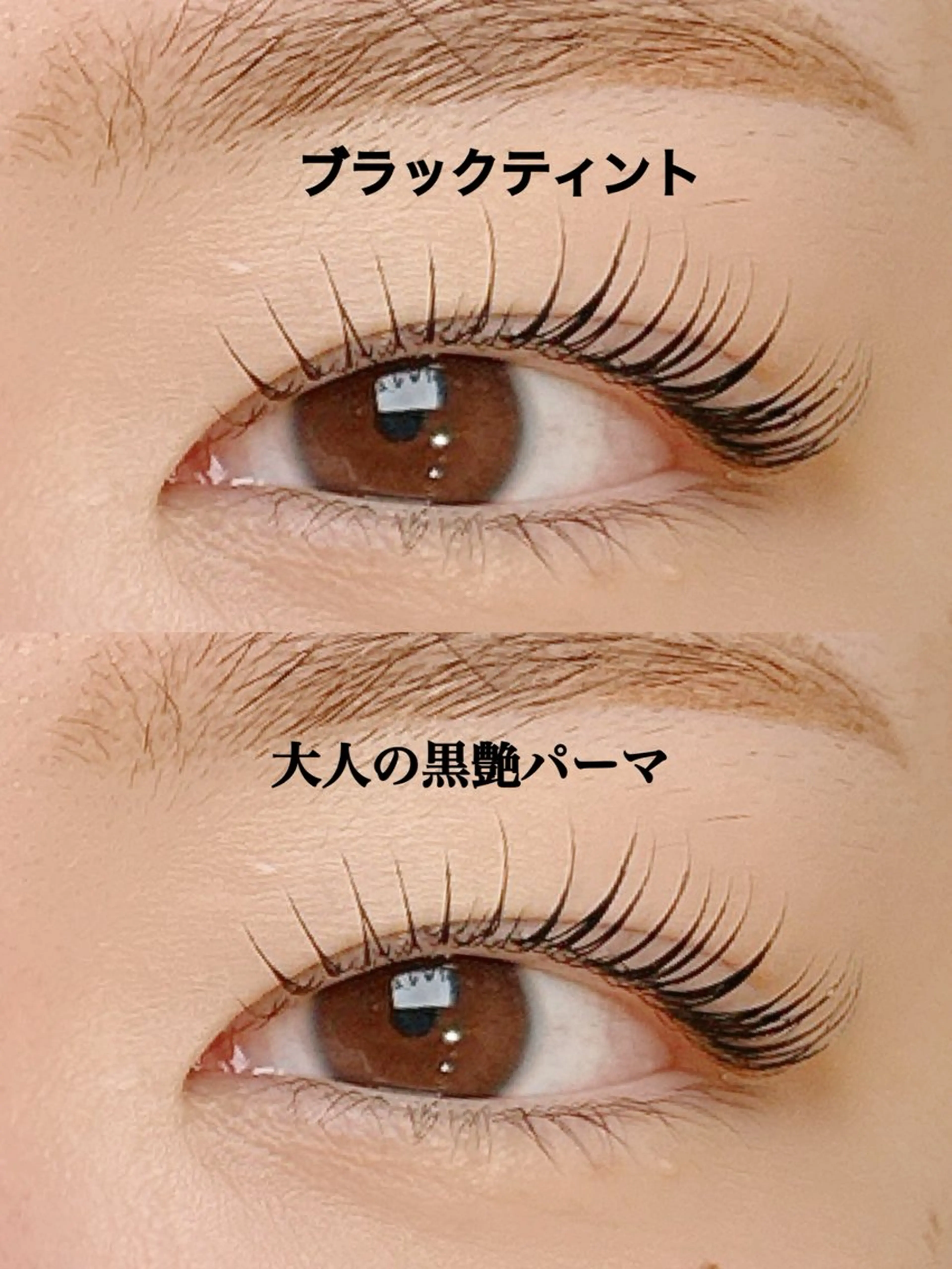 【1・2月限定メニュー】ブラックティント濃さと艶をプラス✨ナチュラルなのに、目力アップ🎀韓国ブラックティントパーマの写真