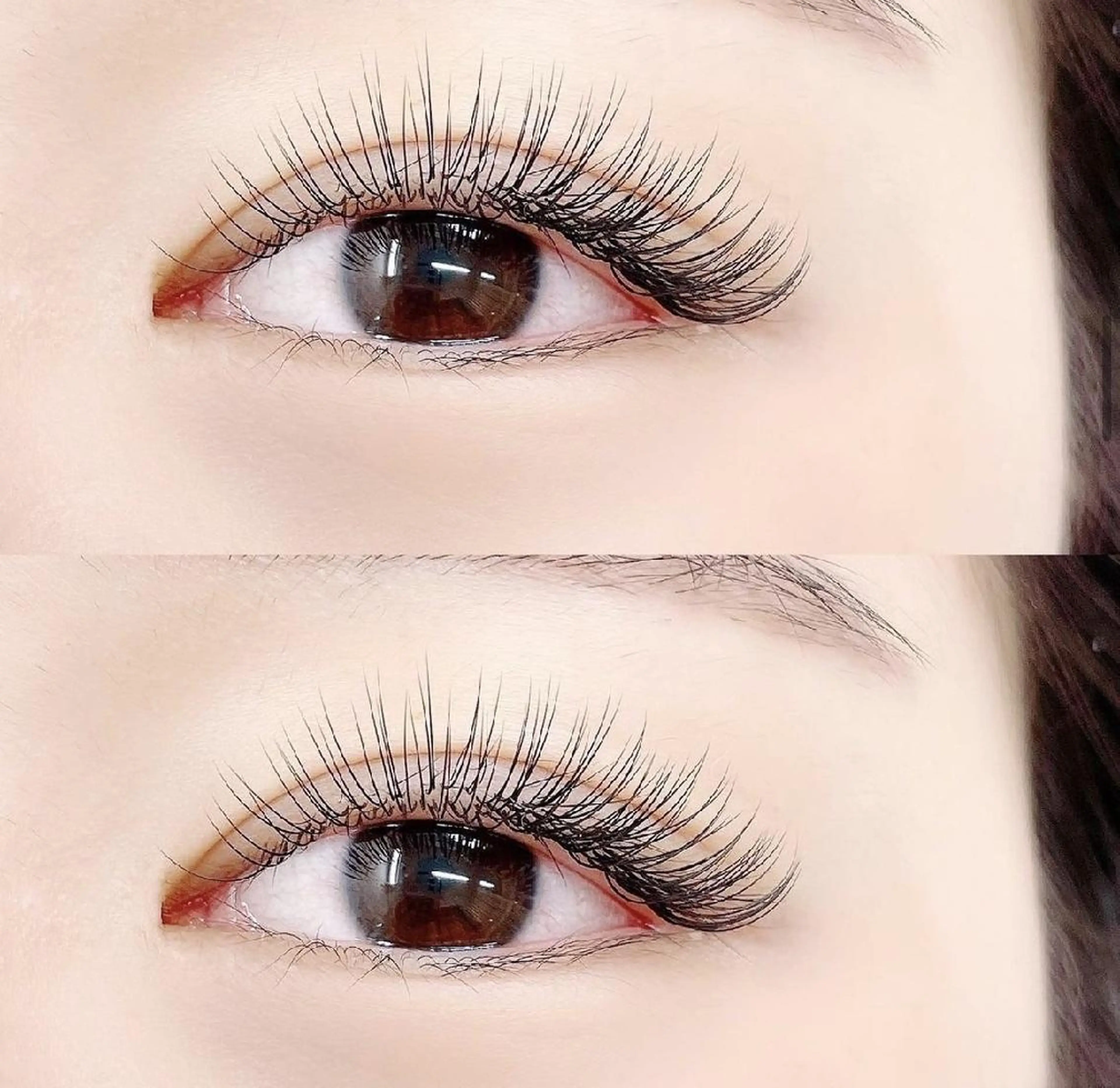 フラットラッシュ100本の写真