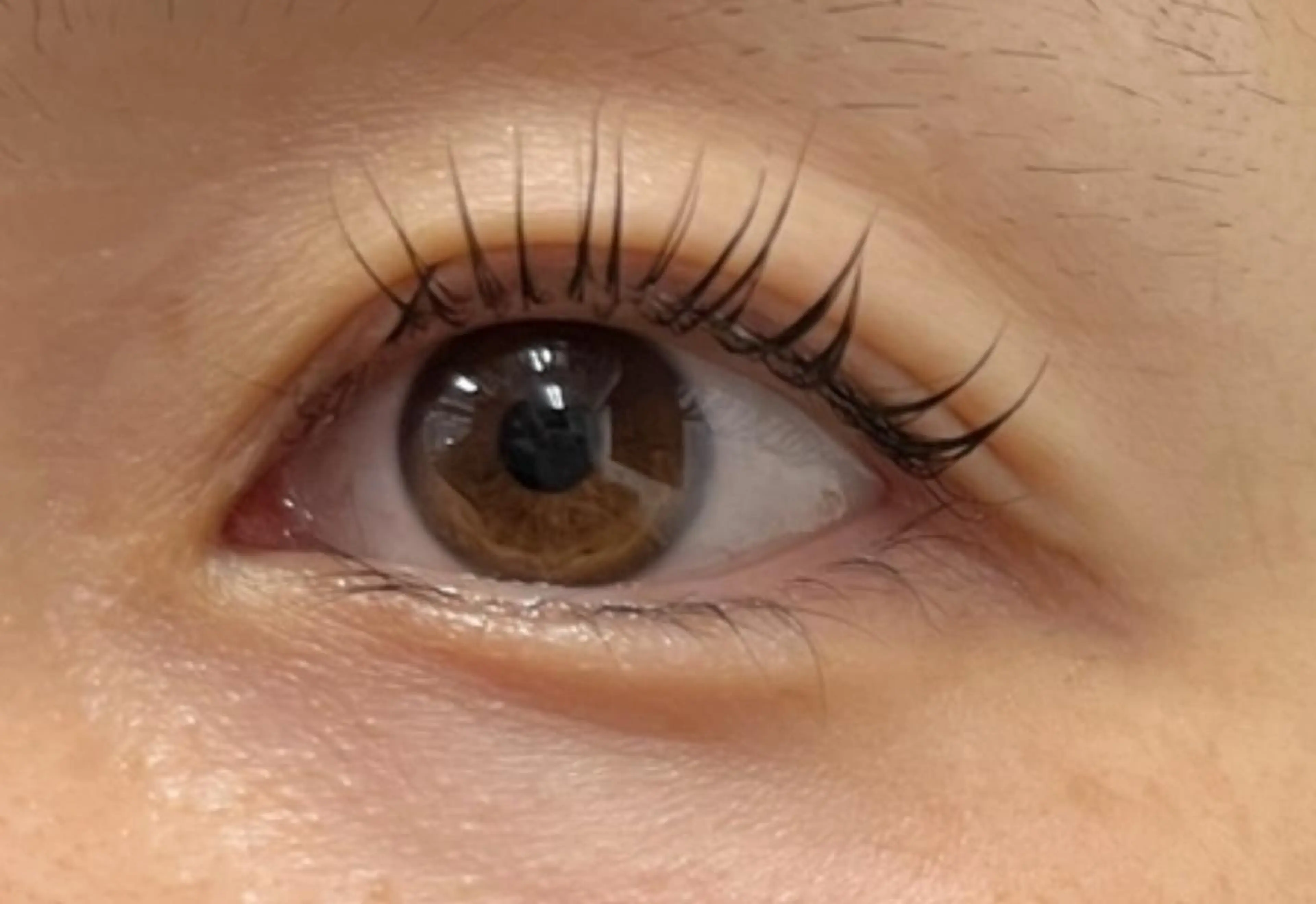 マツエク・マツパ 一重×まつ毛パーマ リセ有楽町店 アイリストのマツエク・マツパデザイン