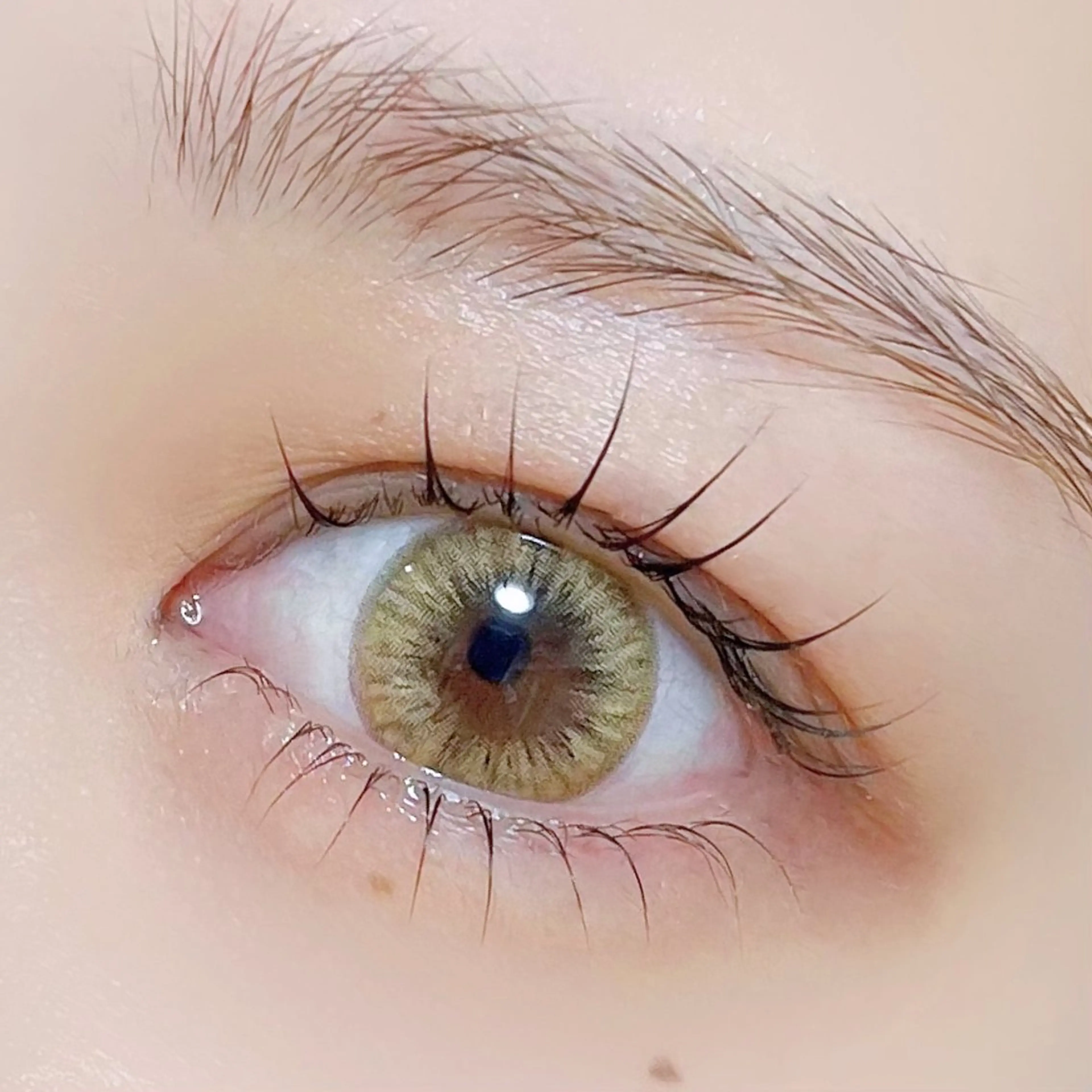 ミニモ学割✨上下まつ毛パーマの写真