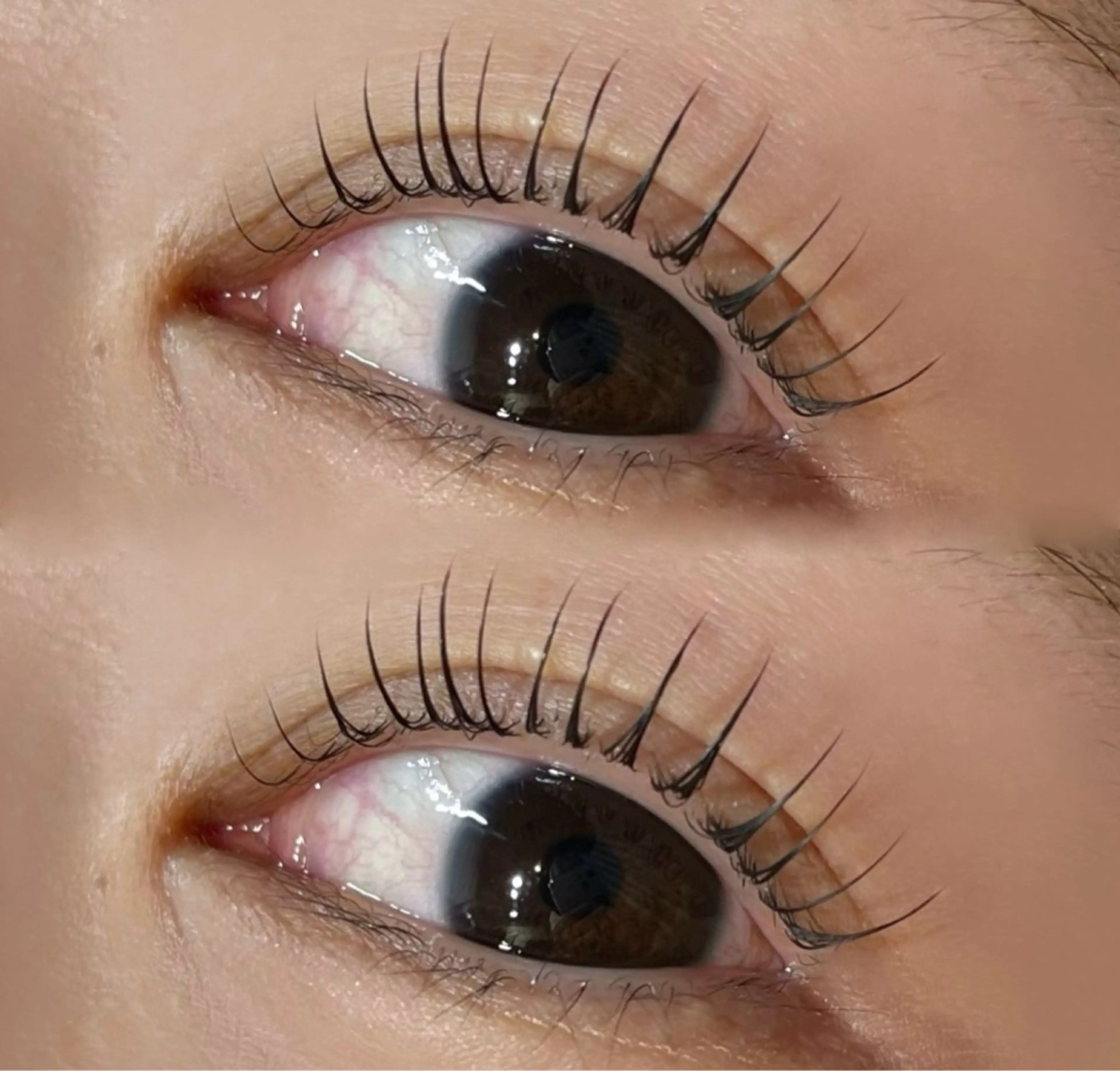 マツエク・マツパ TOPBROW ルナのマツエク・マツパデザイン