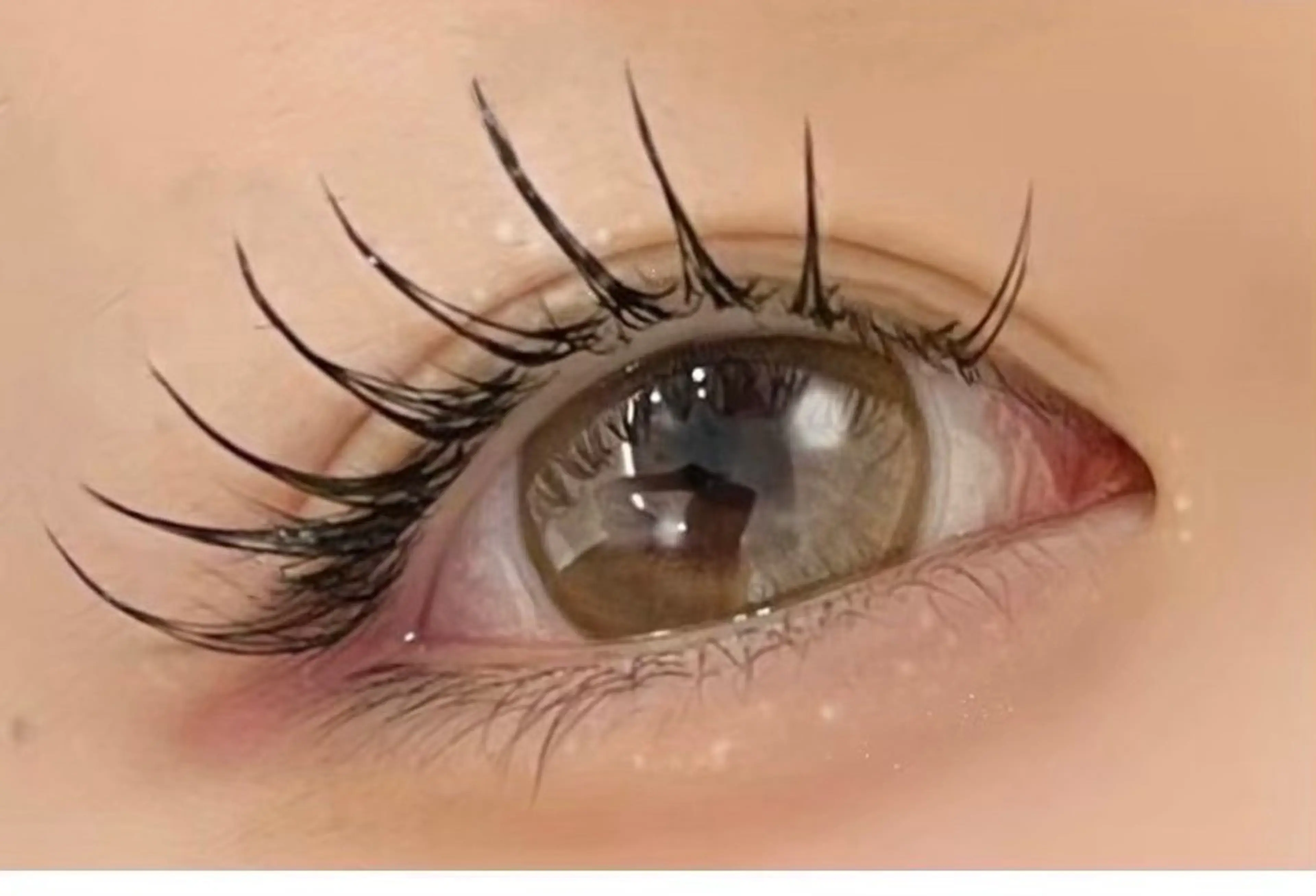 ミンクマツエク100本➕束間コーティング💖¥2980の写真