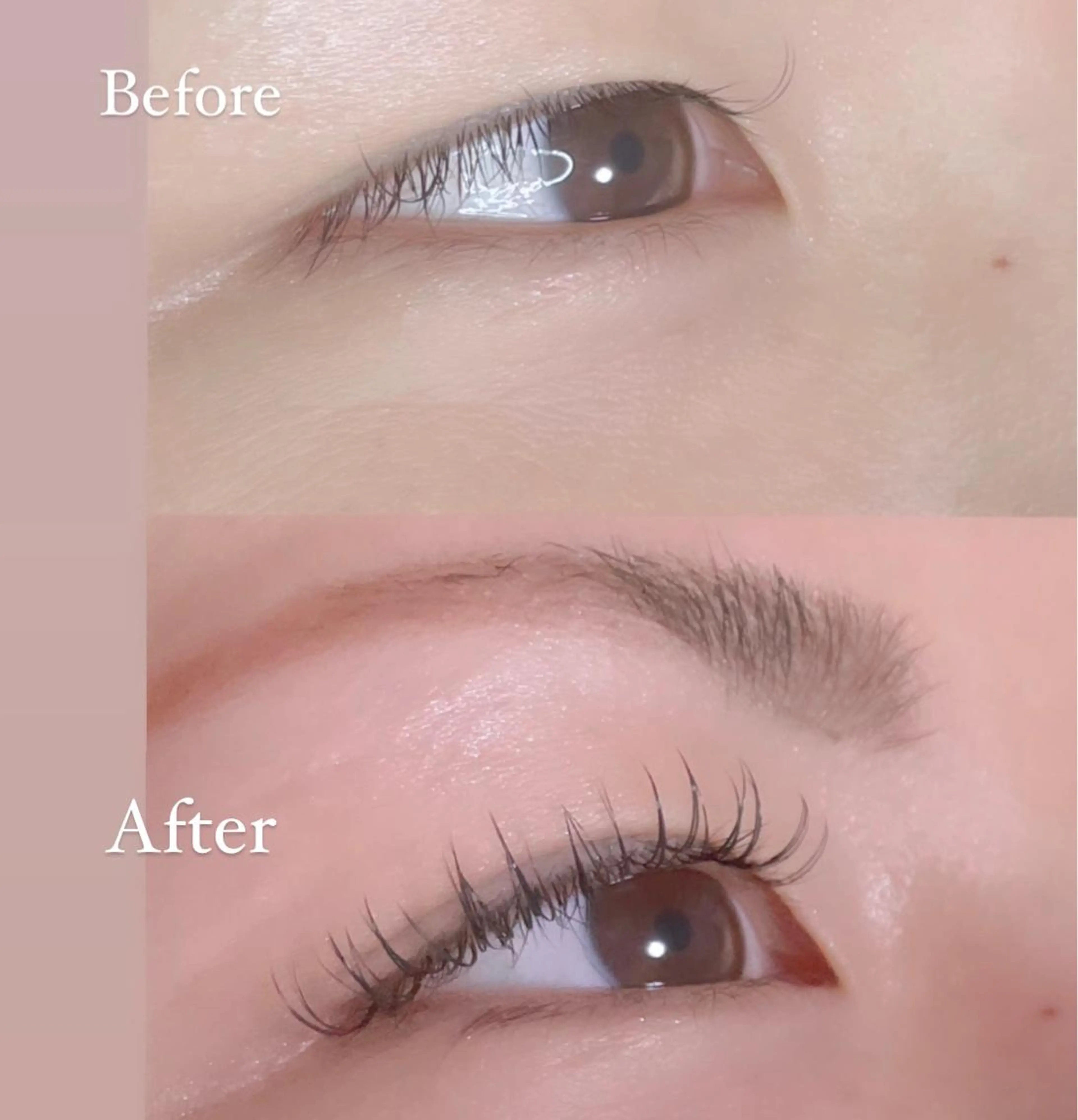 ใใใจใฏใปใใใ ใใใจใฏ ๐๐ผ๐๐๐ ๐๐ธ๐โใฎใใใจใฏใปใใใใใถใคใณ