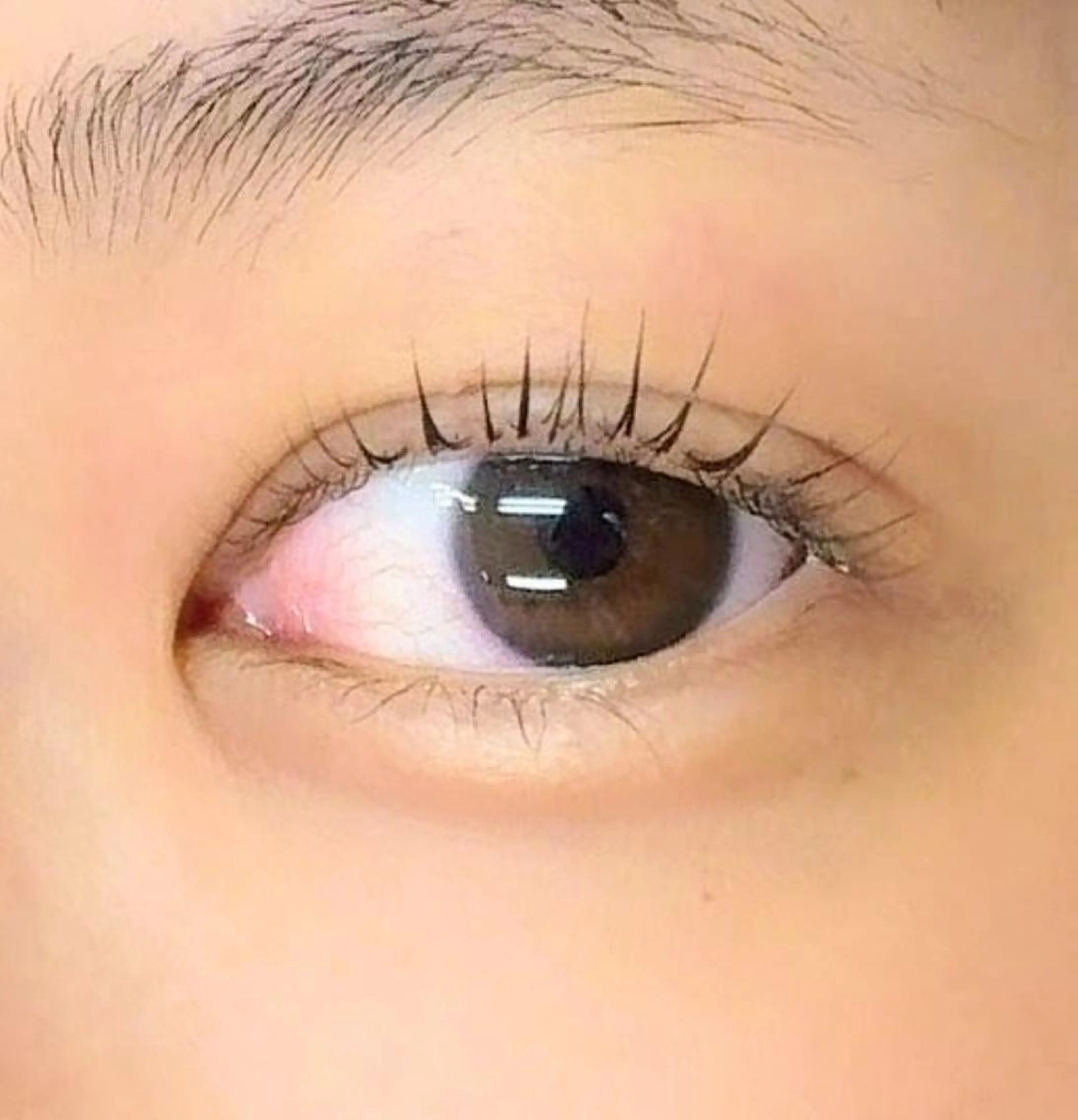 マツエク・マツパ パリジェンヌラッシュリフト まつげパーマ 下まつげエクステ 一重×まつ毛パーマ ワンホンマツエク Reline まつげ、ネイルのマツエク・マツパデザイン