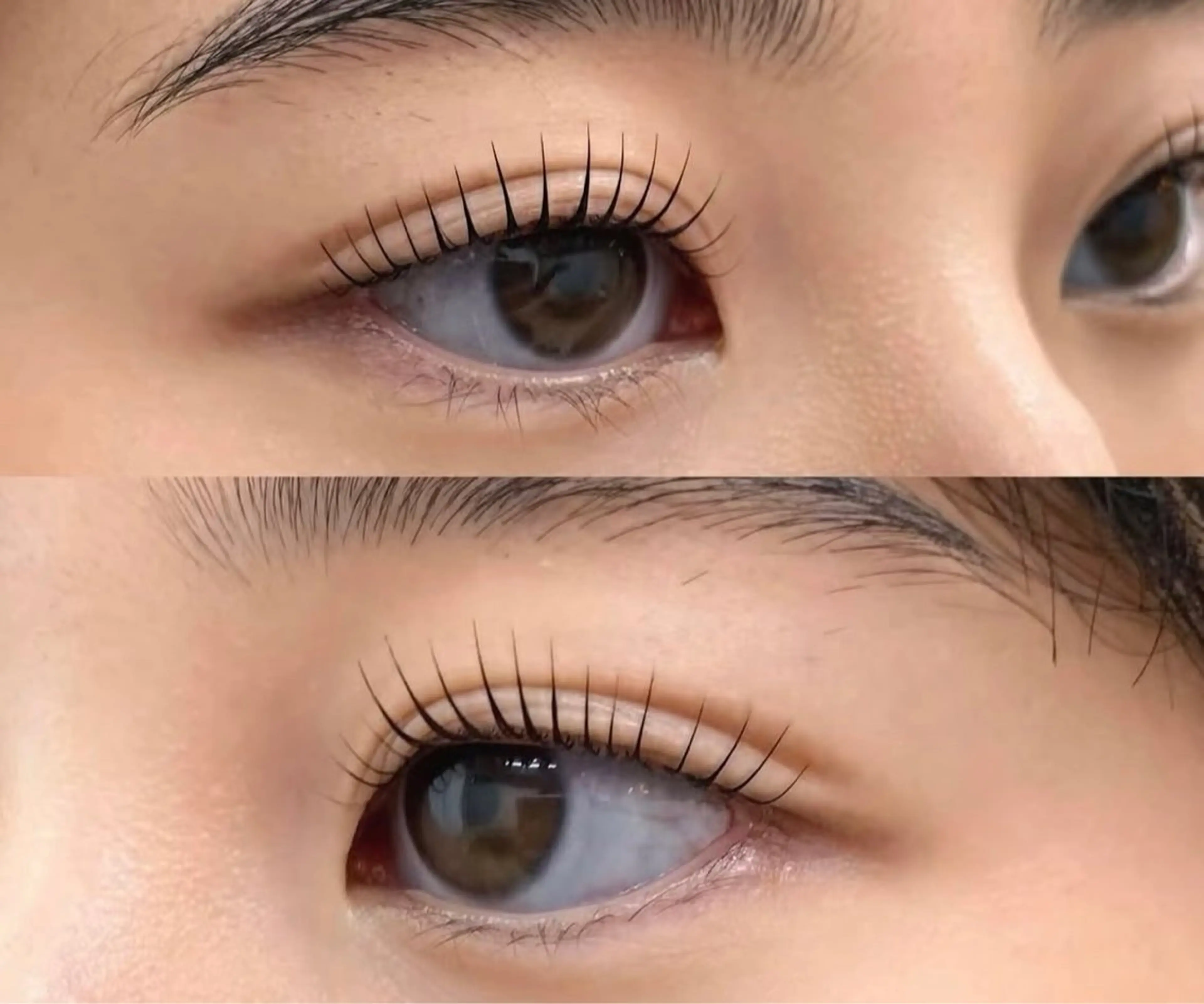 最新入荷！立ち上げデザイン 最大最長rod【パンダロード】の写真