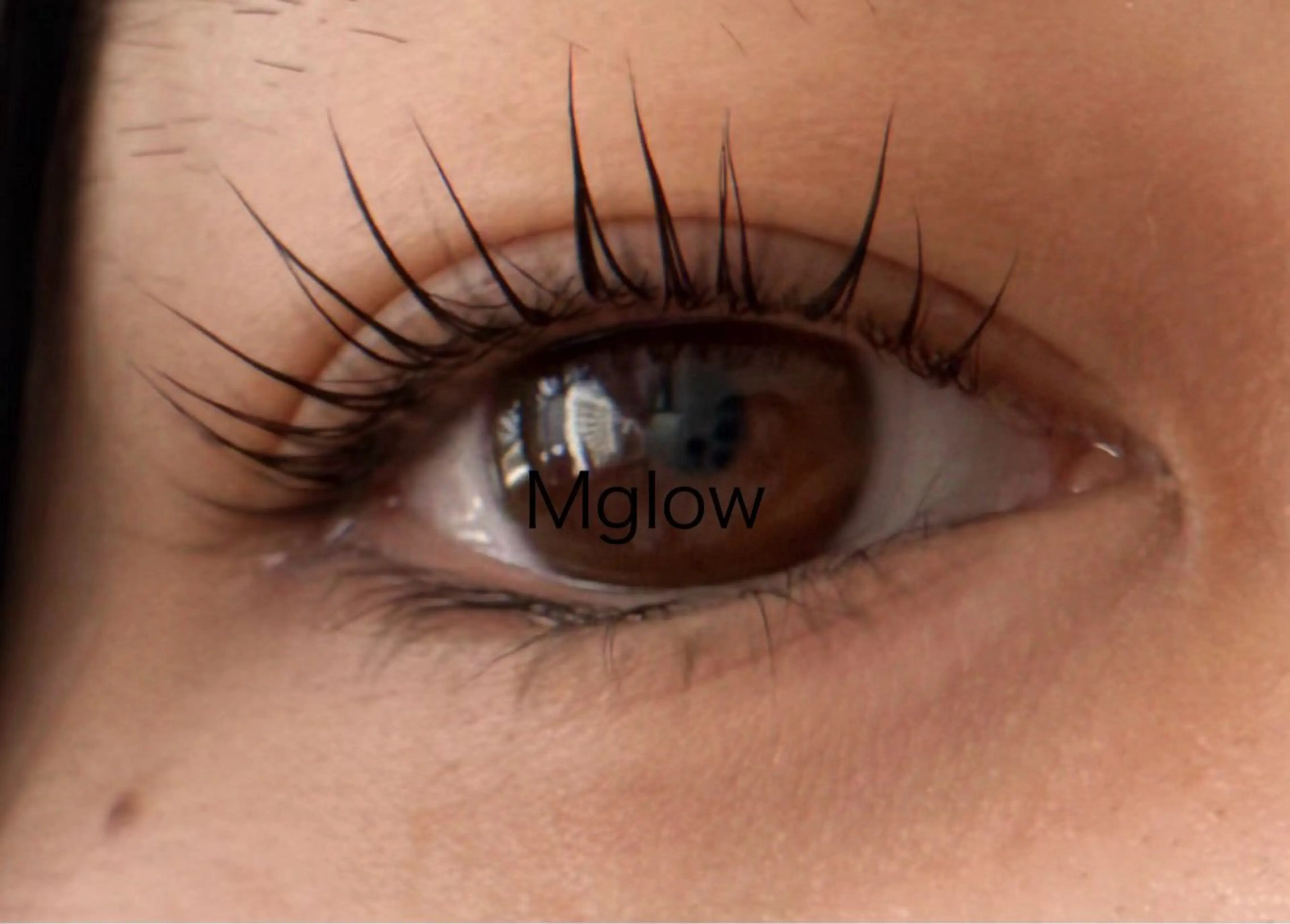 マツエク・マツパ ナチュラル 一重×まつ毛パーマ MEG @Mglowのマツエク・マツパデザイン