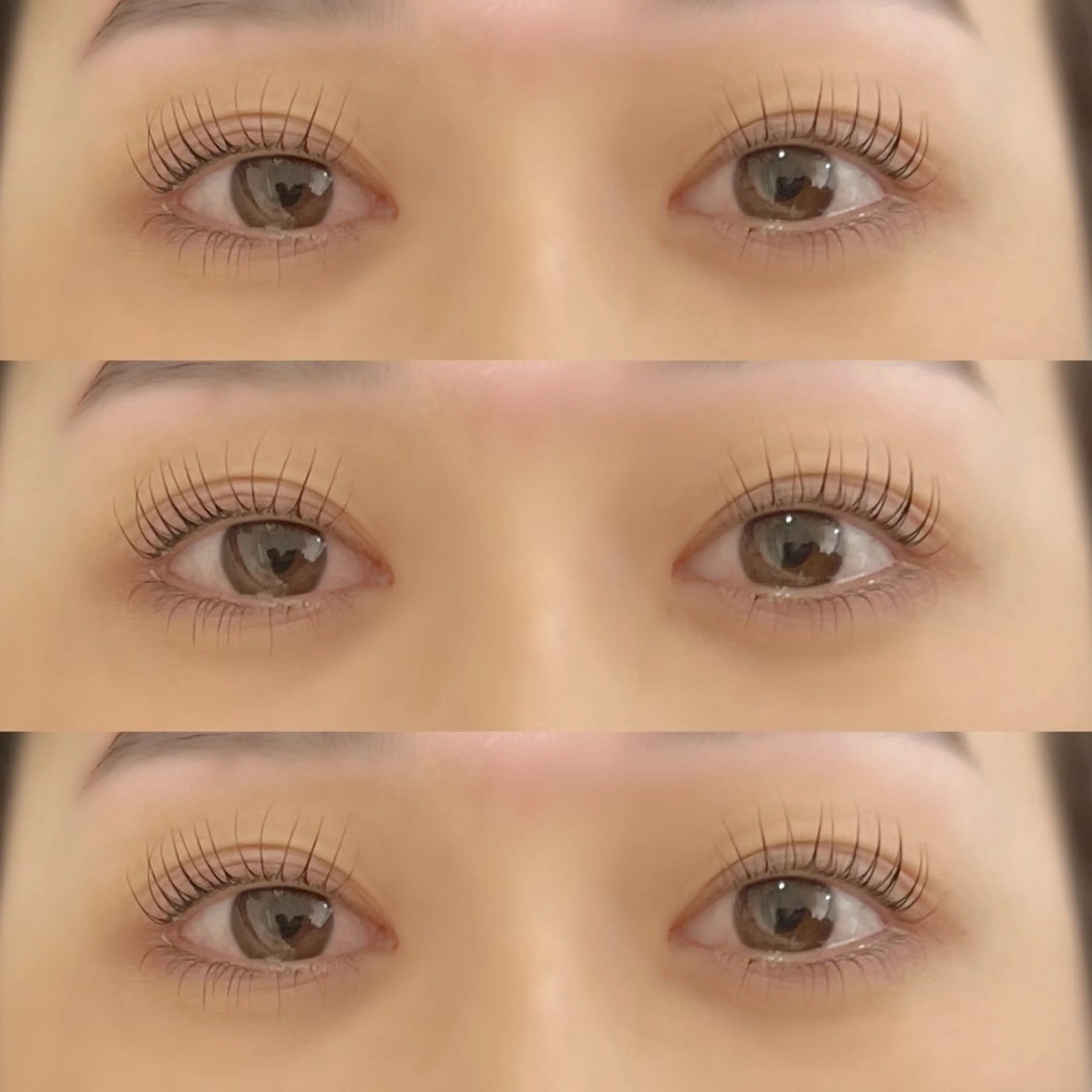 パリジェンヌラッシュリフト上下＆ハリウッドブロウリフト⚠️注意事項を必ずお読みくださいの写真