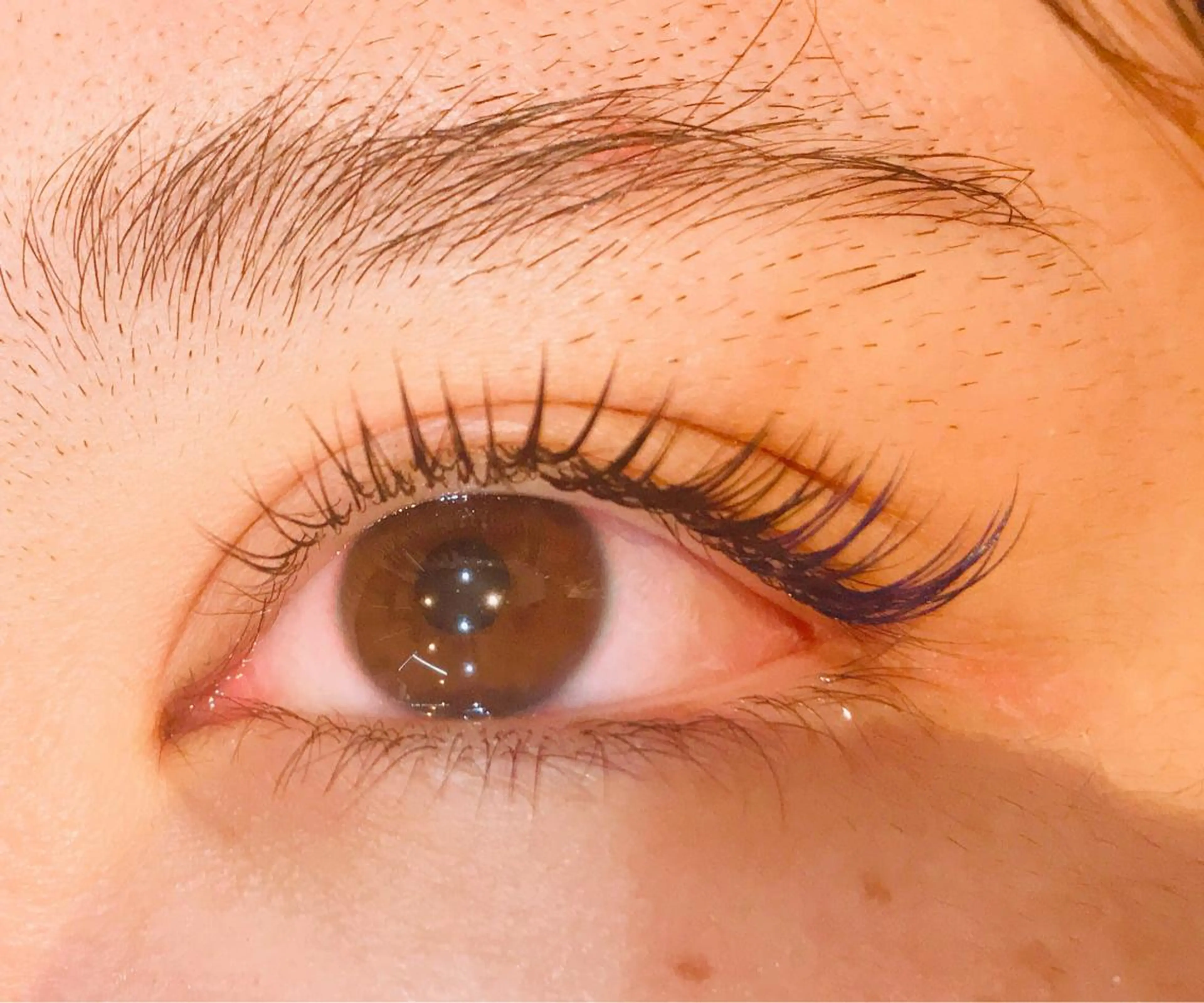 マツエク・マツパ セクシー QUATRO小山店 tomomiのヘアスタイル